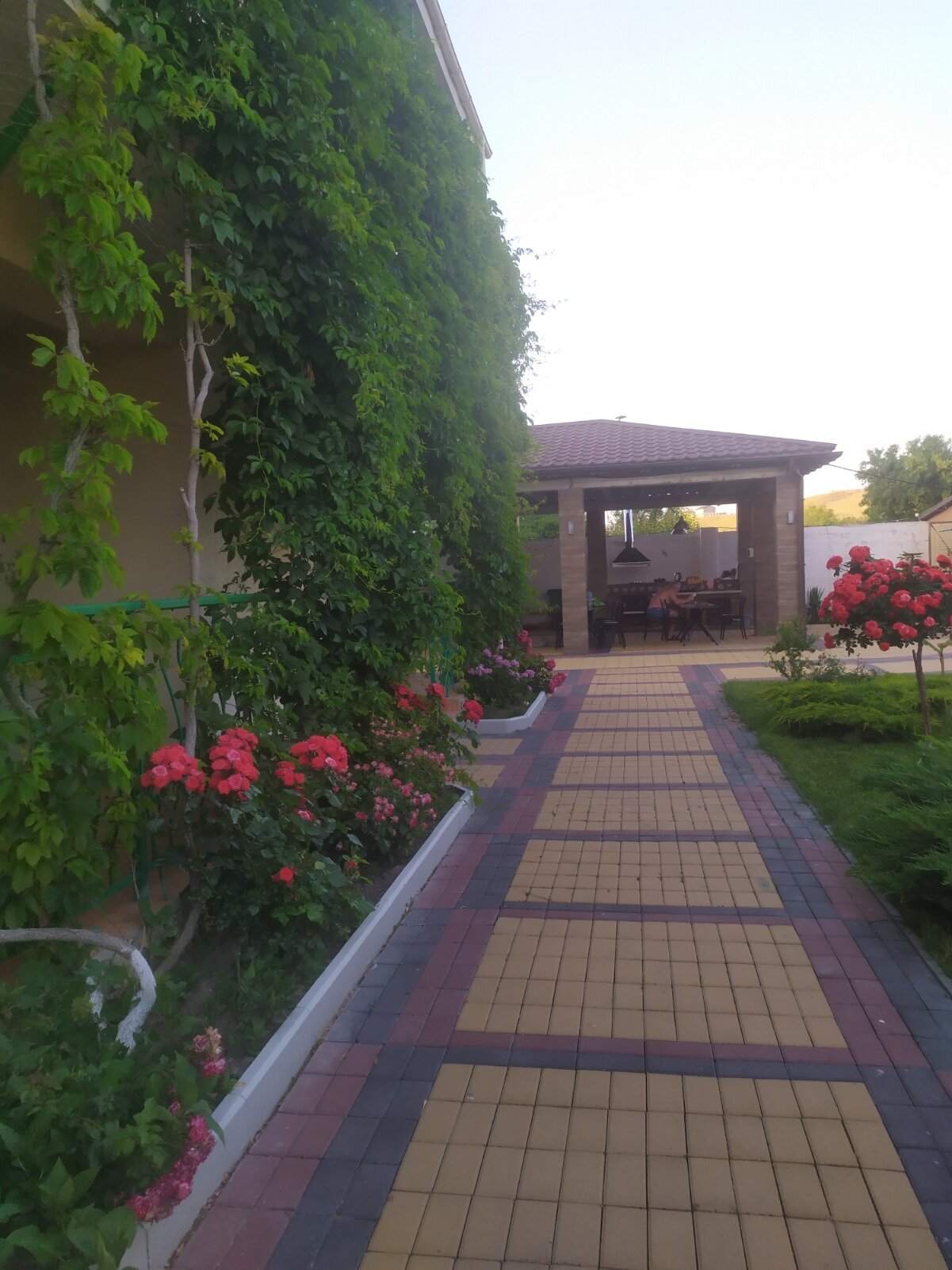 Фото Одиссей