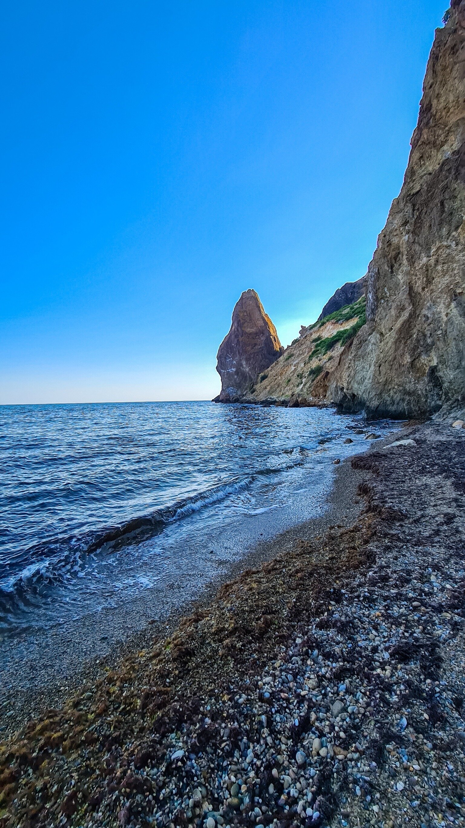 Фото ЁлкиХоум