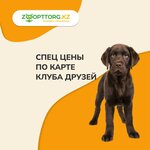 ZooOptTorg.kz (Almaty, Pushkin Street, 38) ، متجر للحيوانات الأليفة