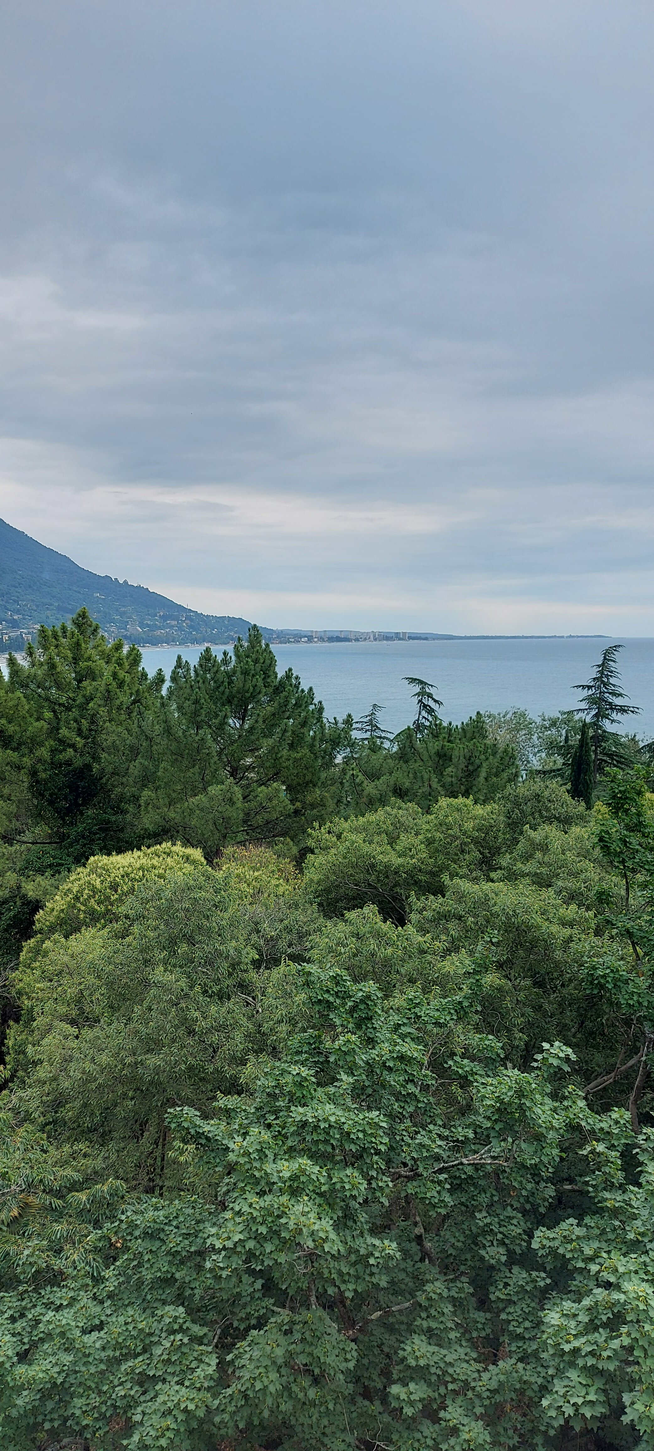 Фото Отель Гагра