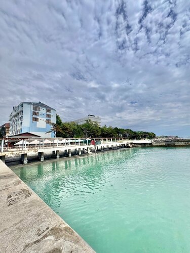 Иное жильё Дельфин в Адлере