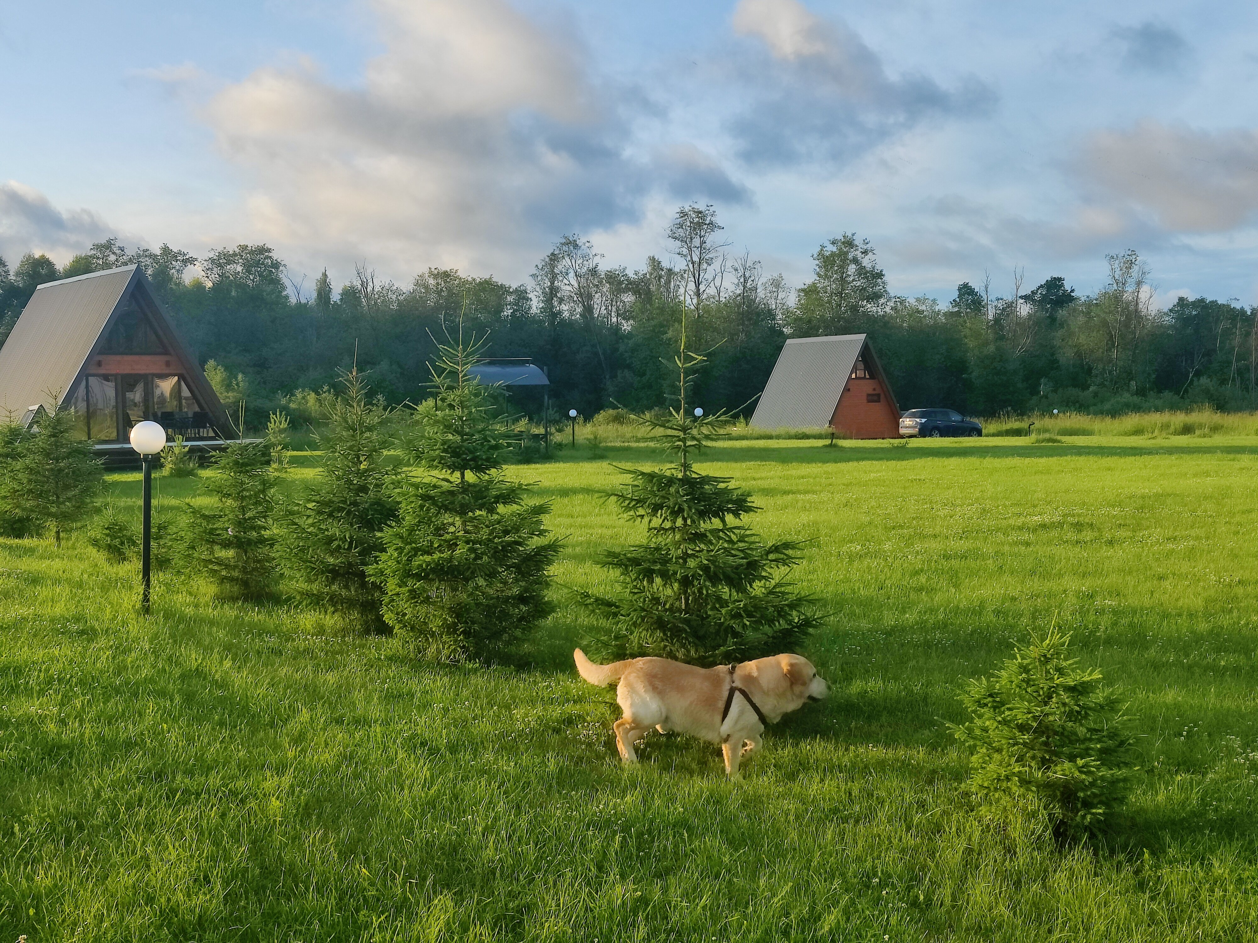 Фото Эко-усадьба Никольское