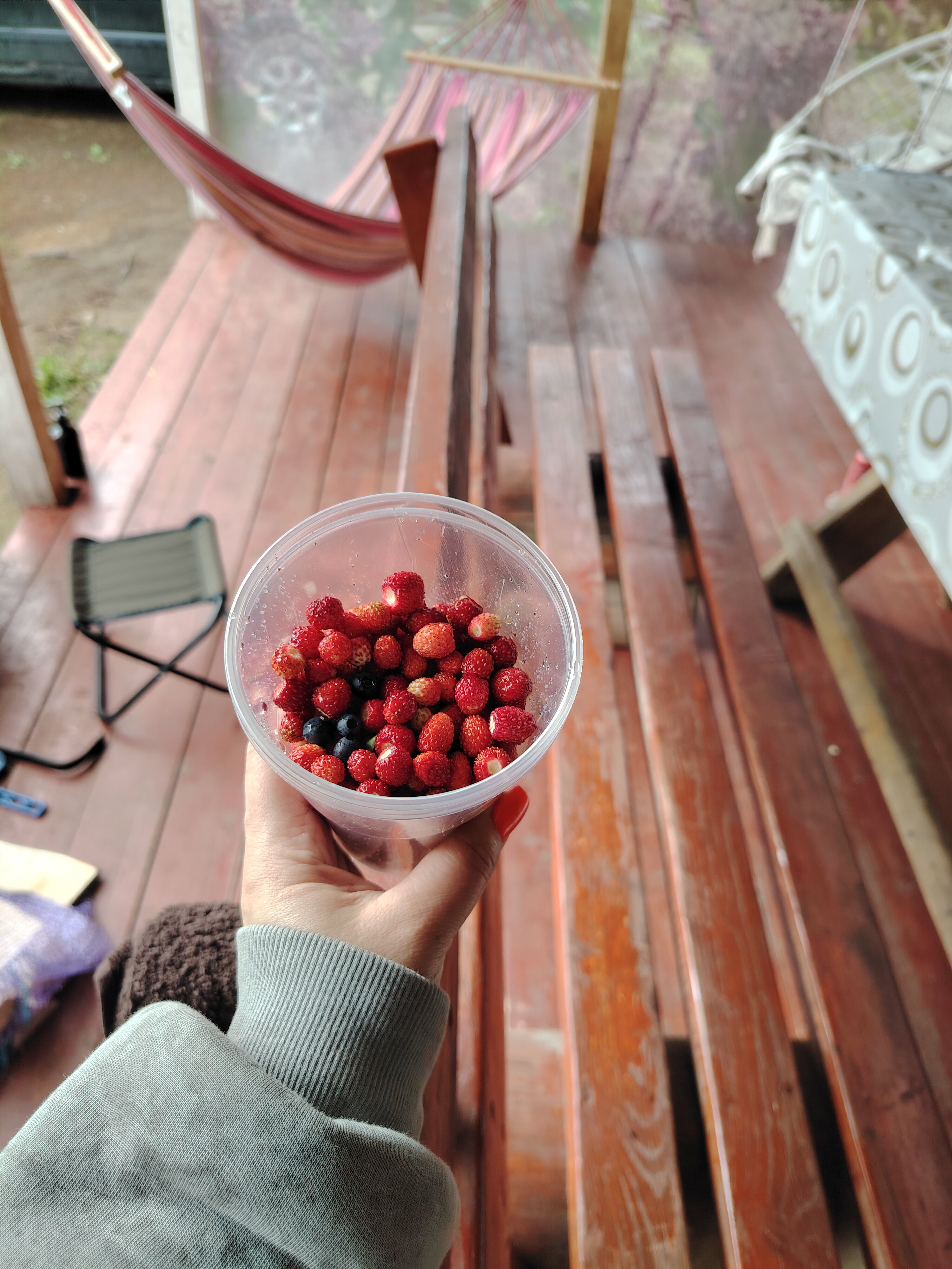 Фото Отдых на Волго