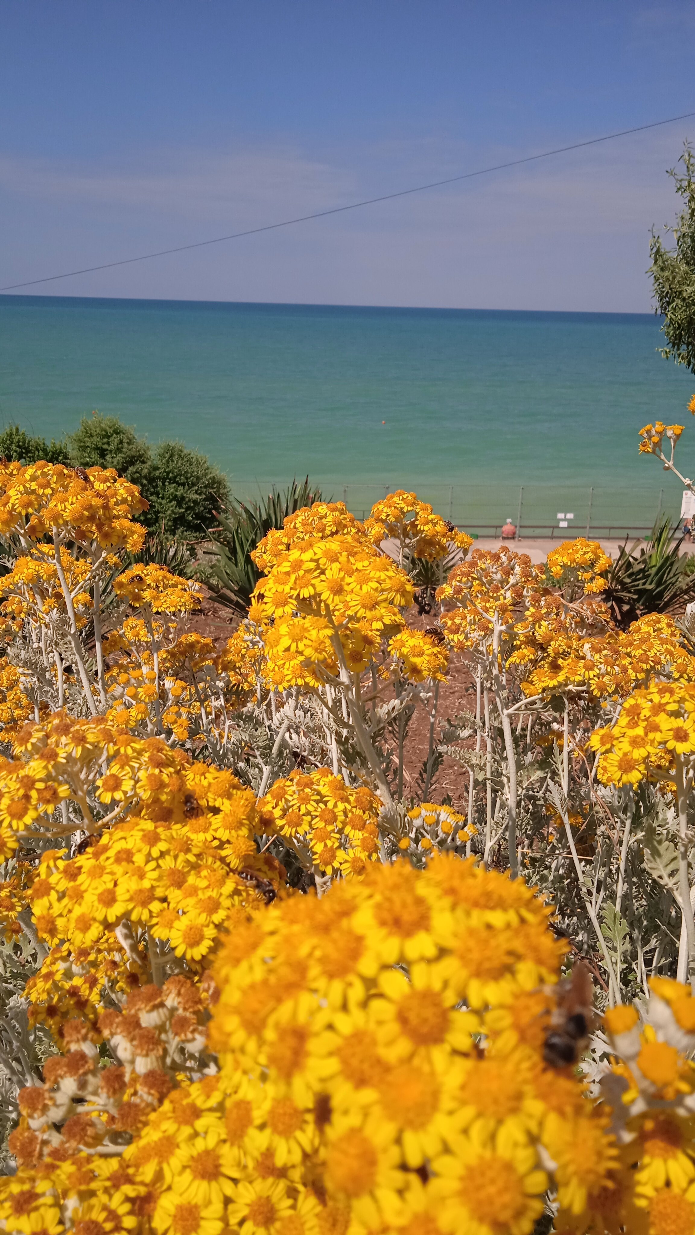 Фото Камилла