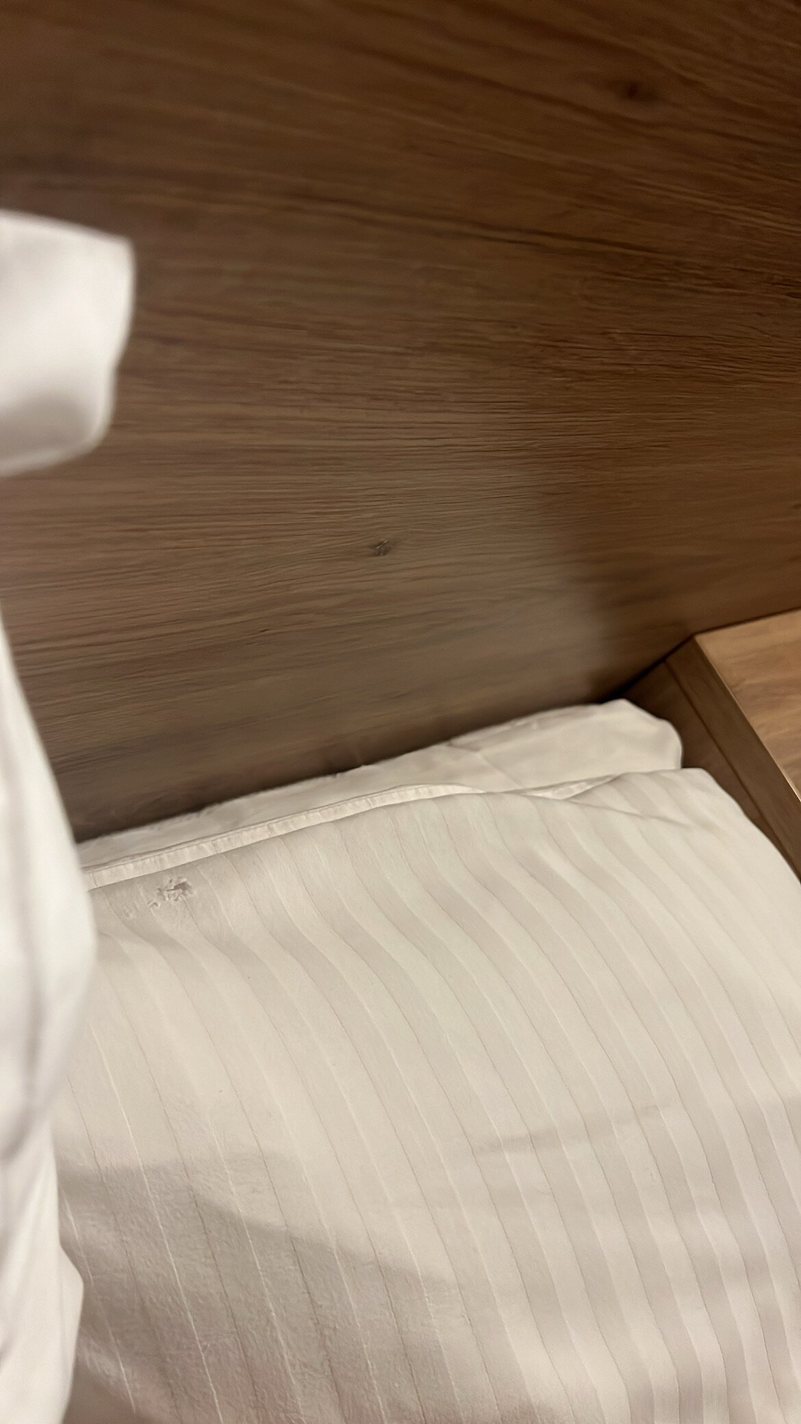 Фото Old Town Trio Hotel