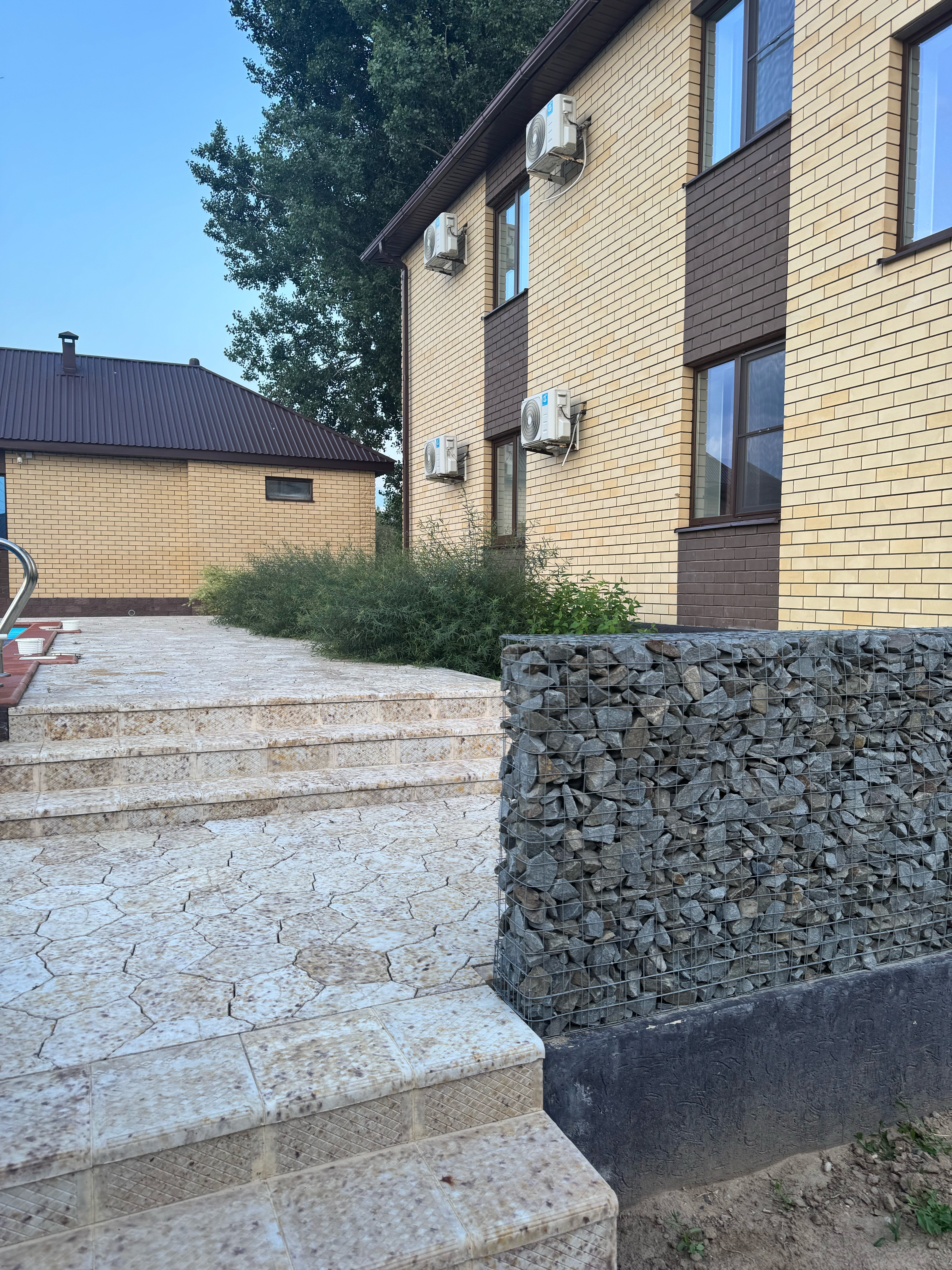 Фото Тополь - Эм