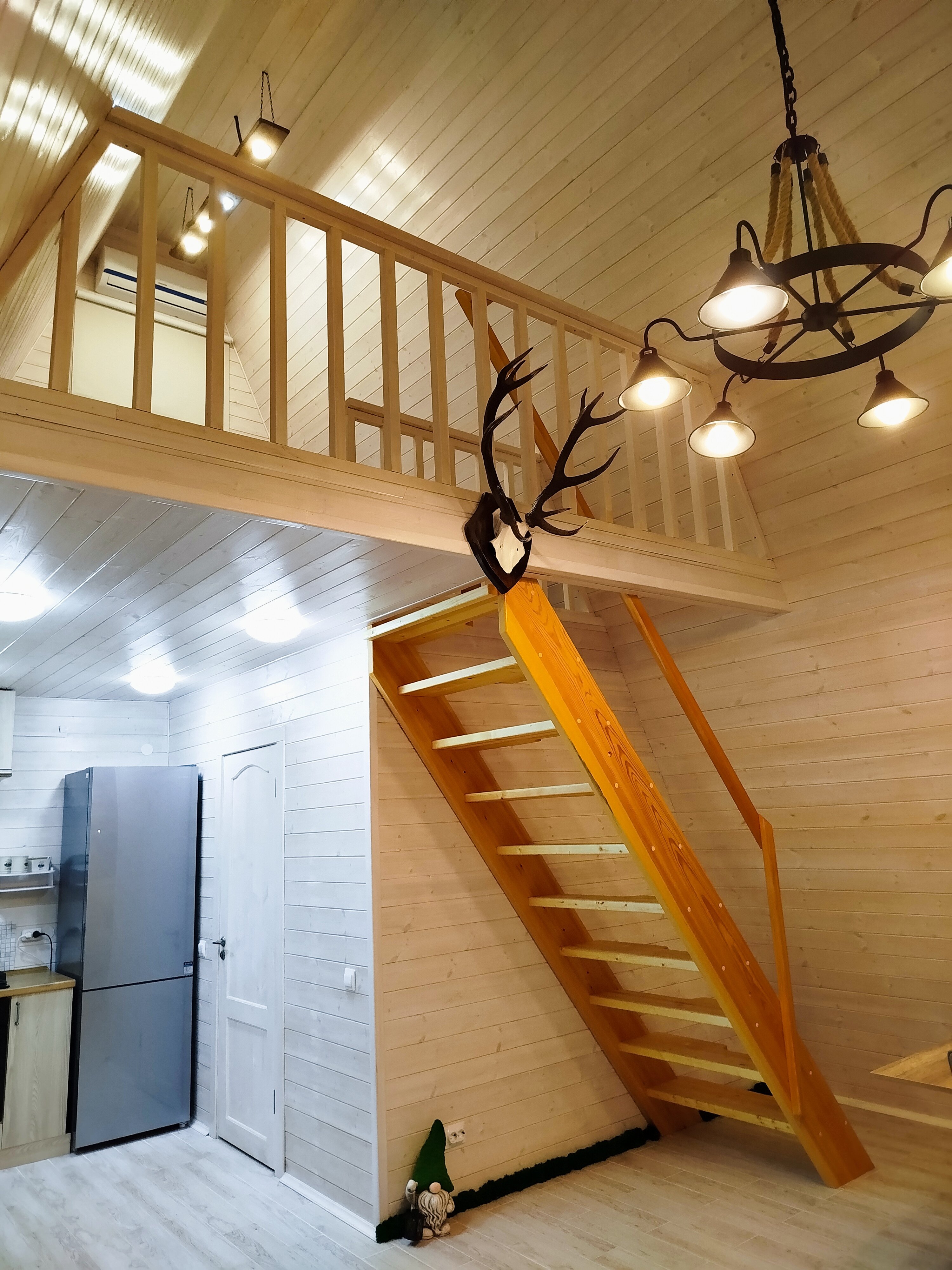 Фото Ёлки-Иголки