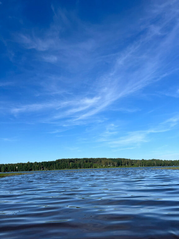 Фото Зюзино