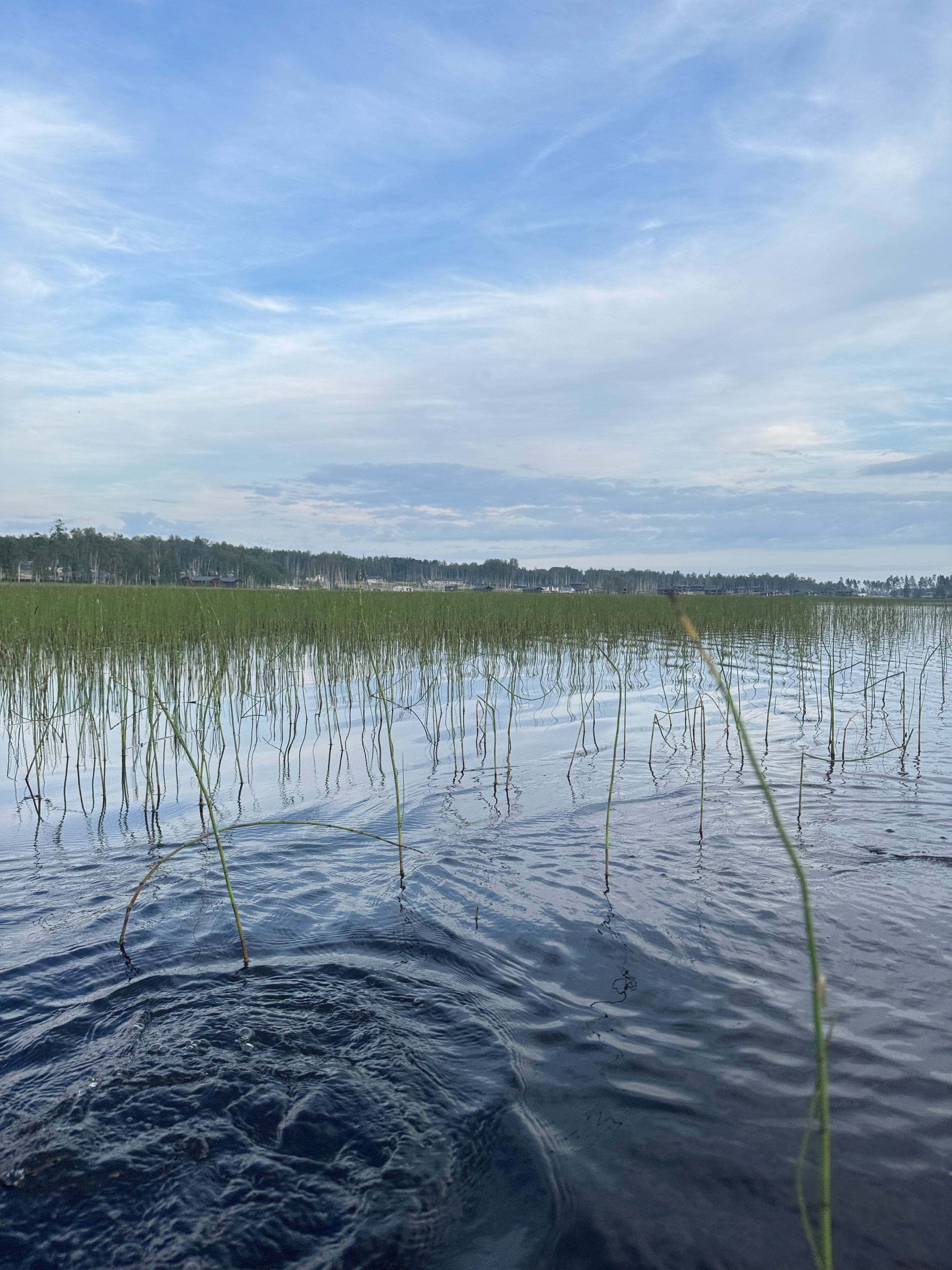 Фото Klever House Экофорест