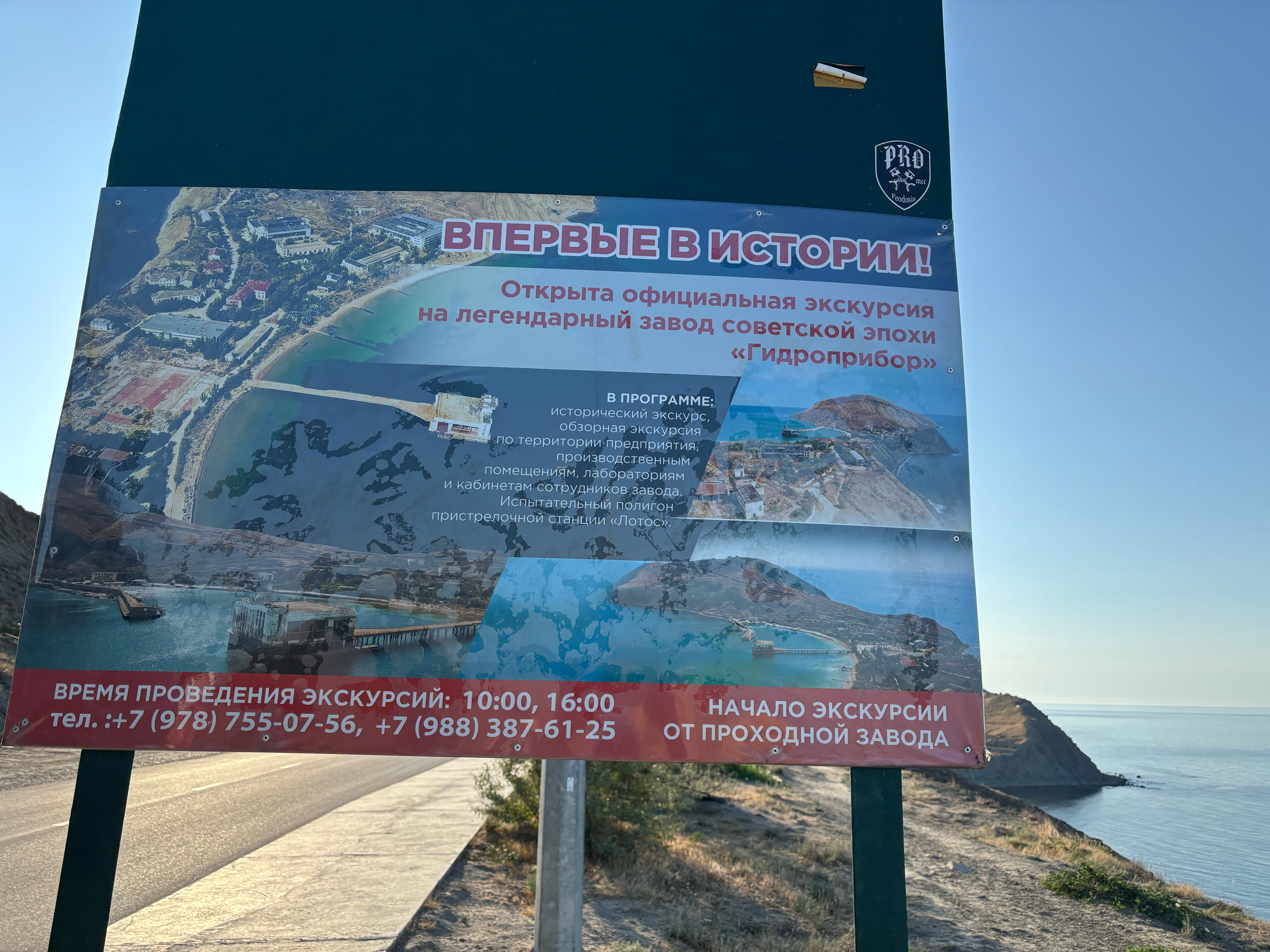 Фото Белый лебедь