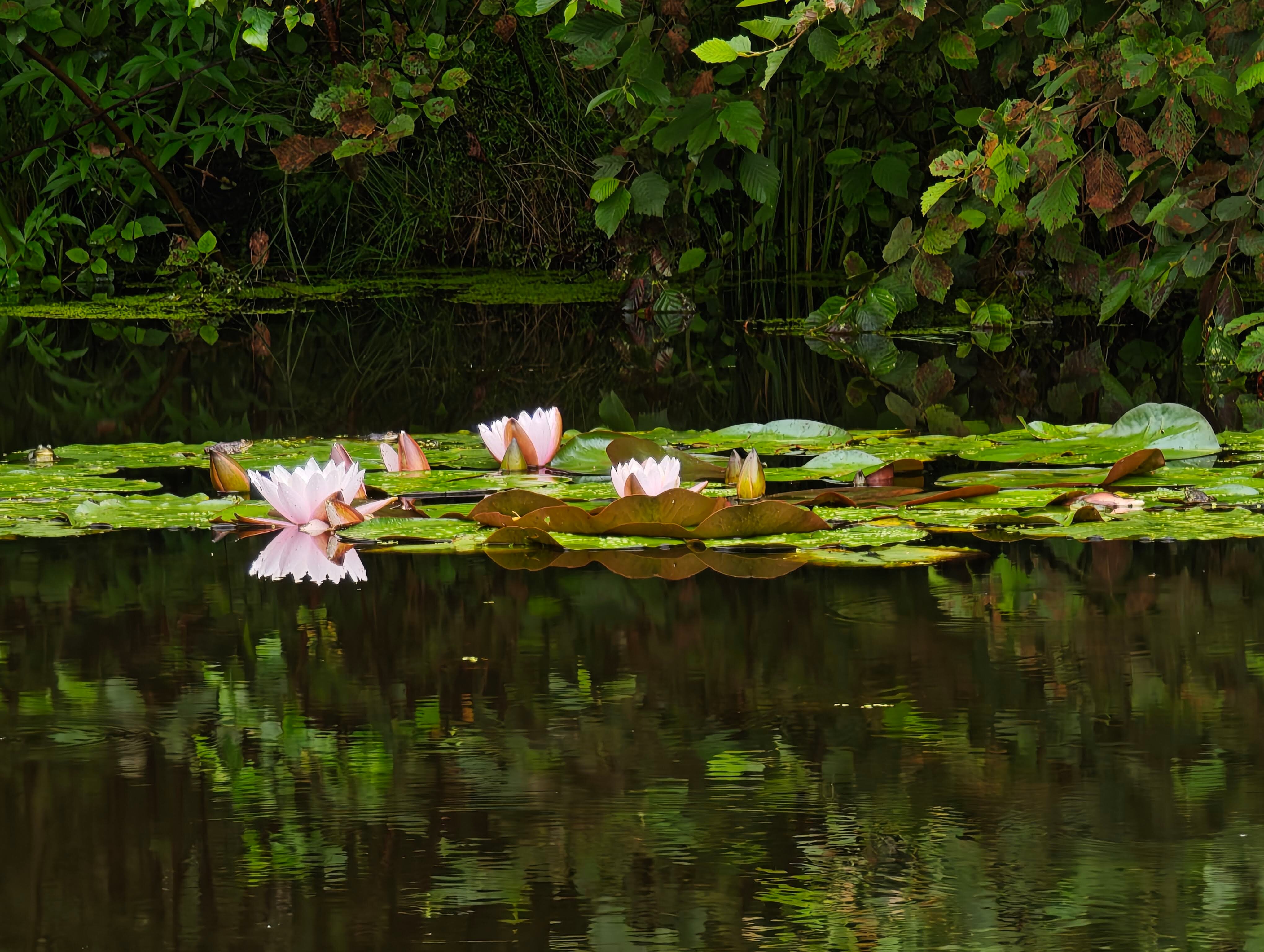 Фото Эко Парк