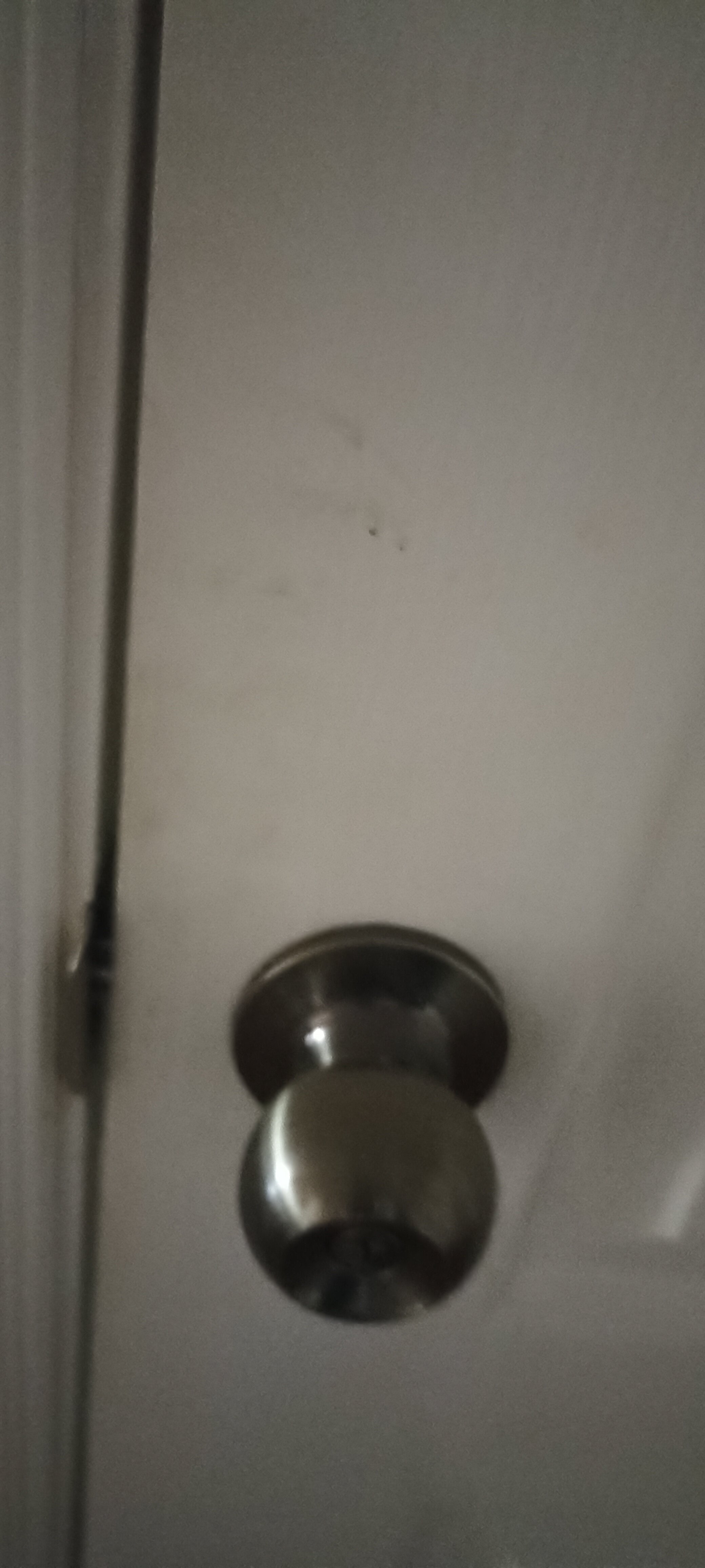 Фото Континент