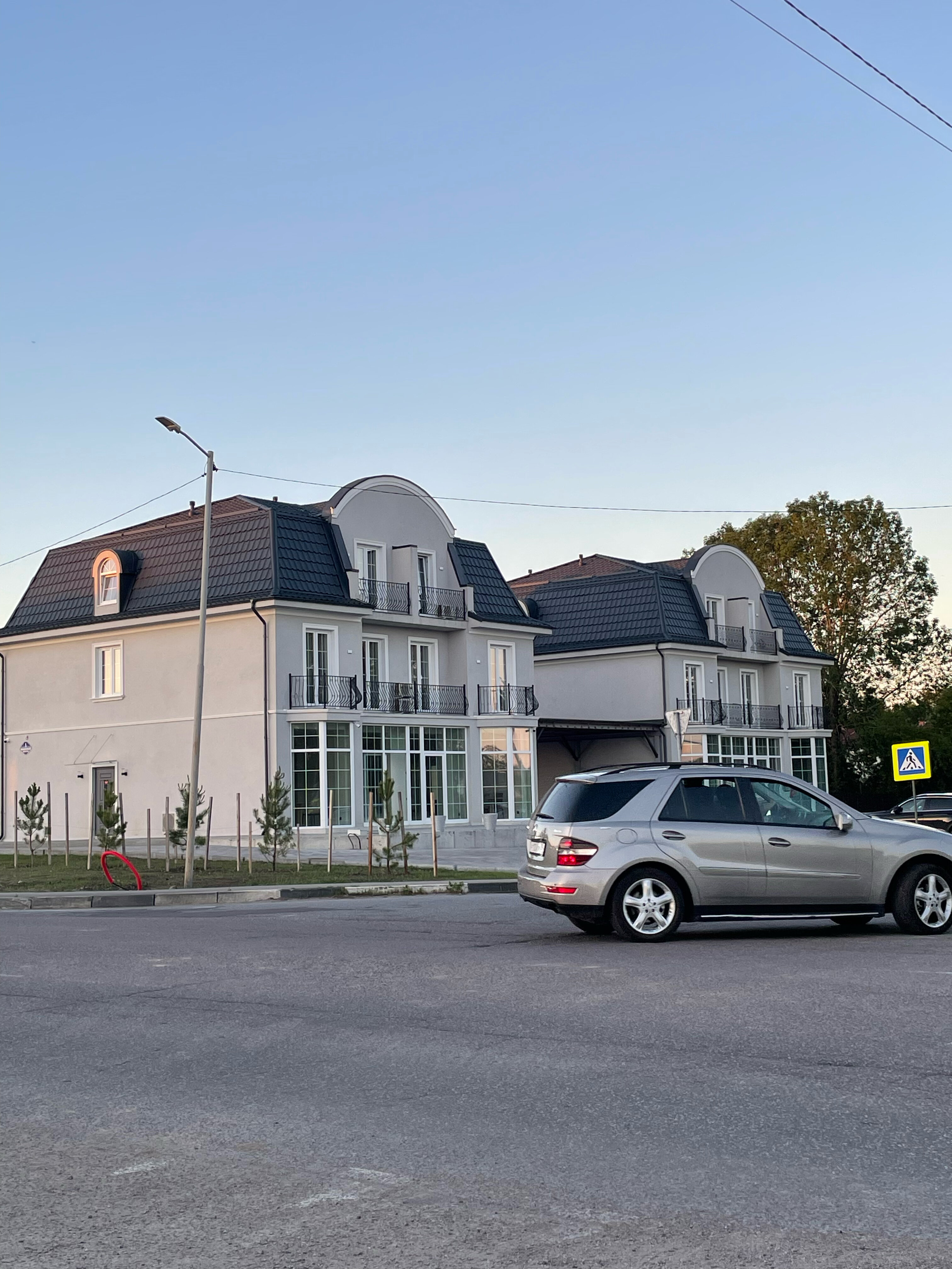 Фото Янтарная Вишня