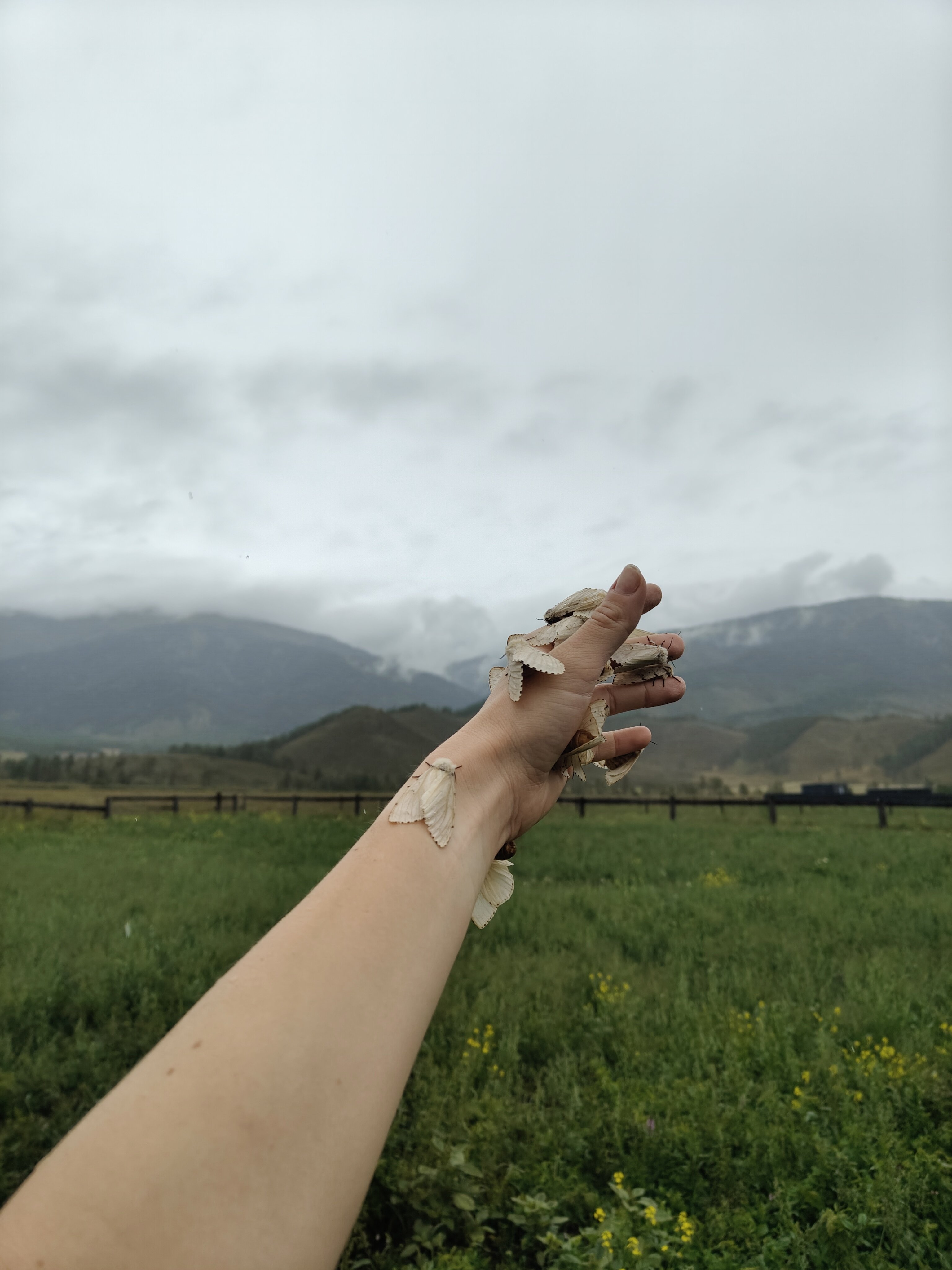 Фото Белуха Вилладж