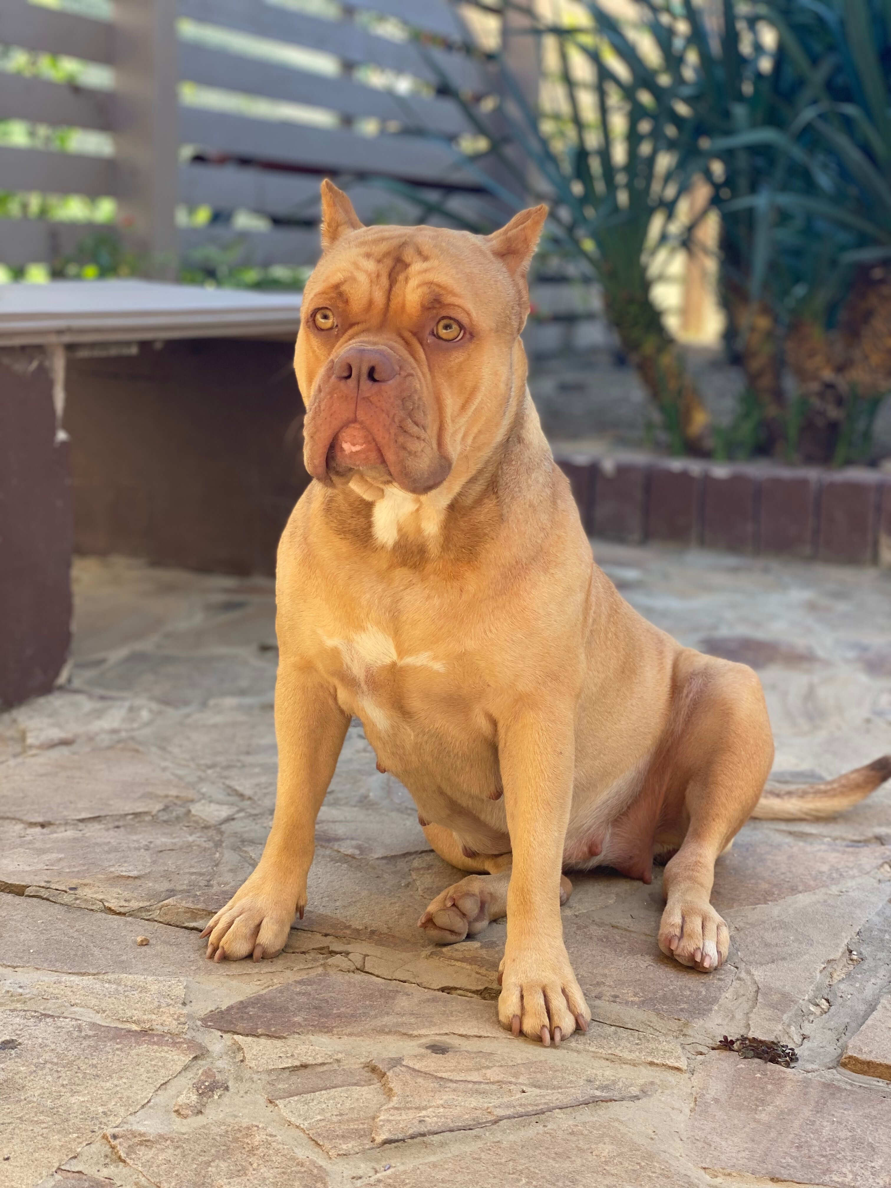 Фото Зурбаган