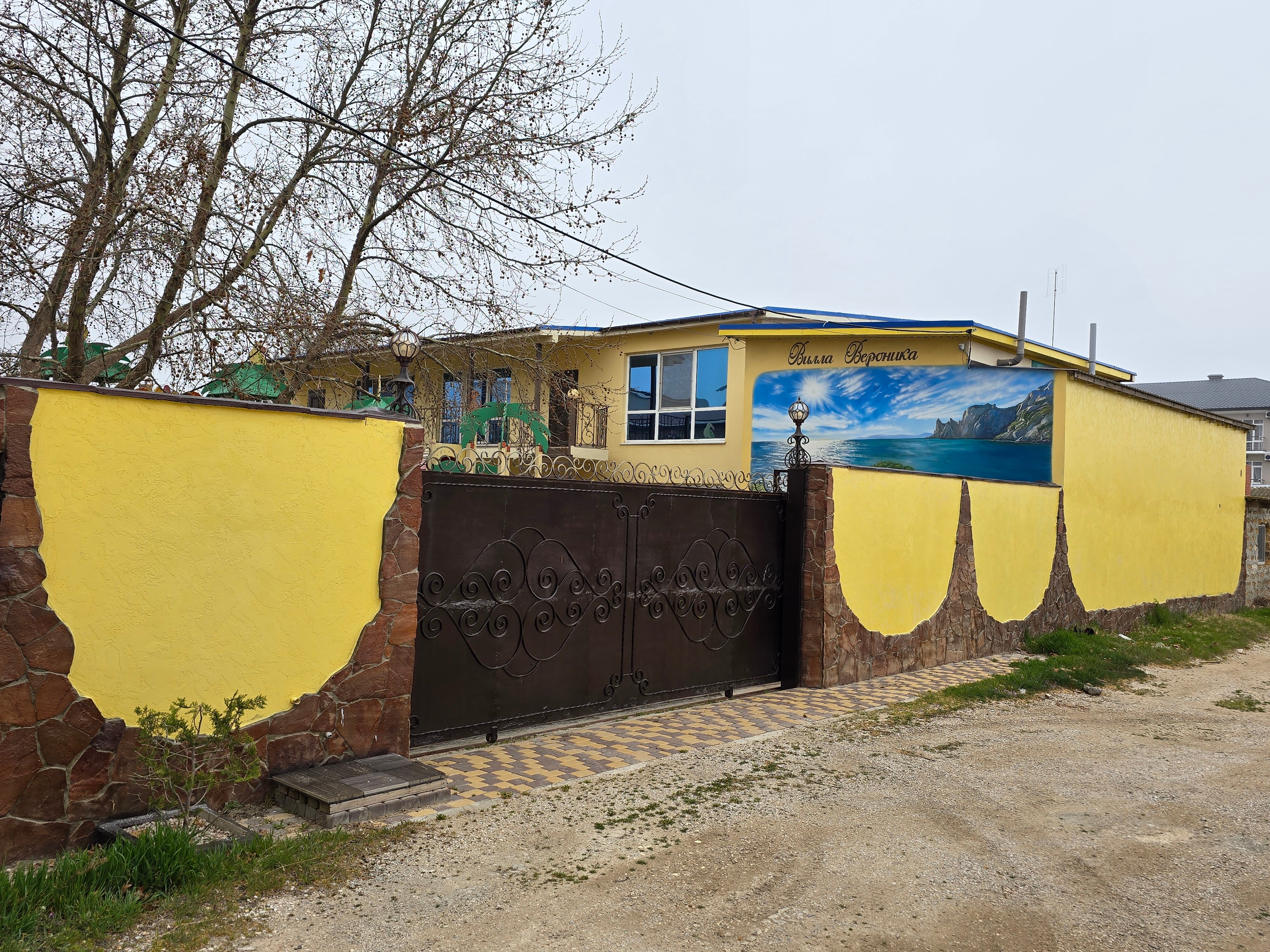 Фото Вероника