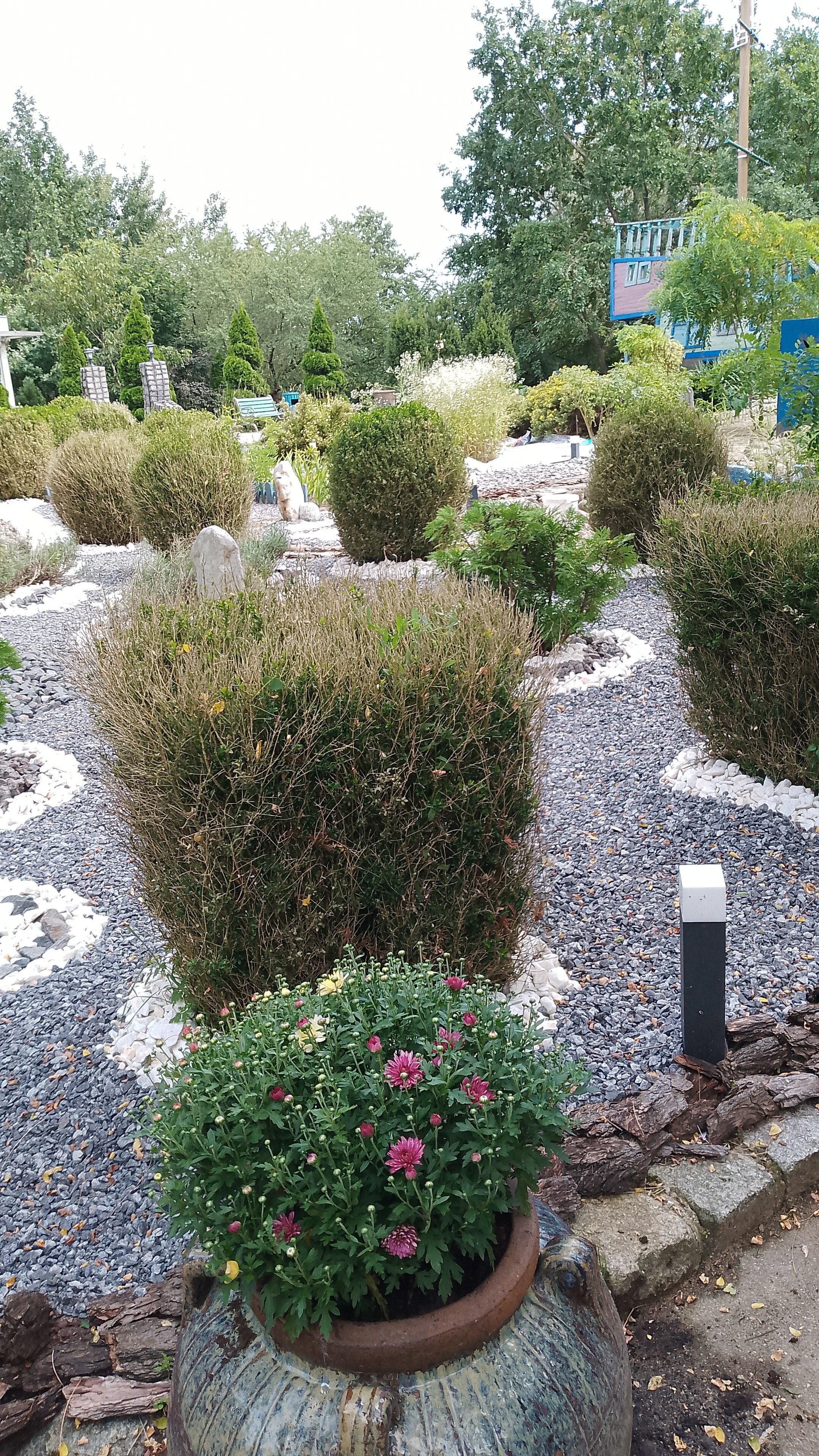 Фото Buen Retiro