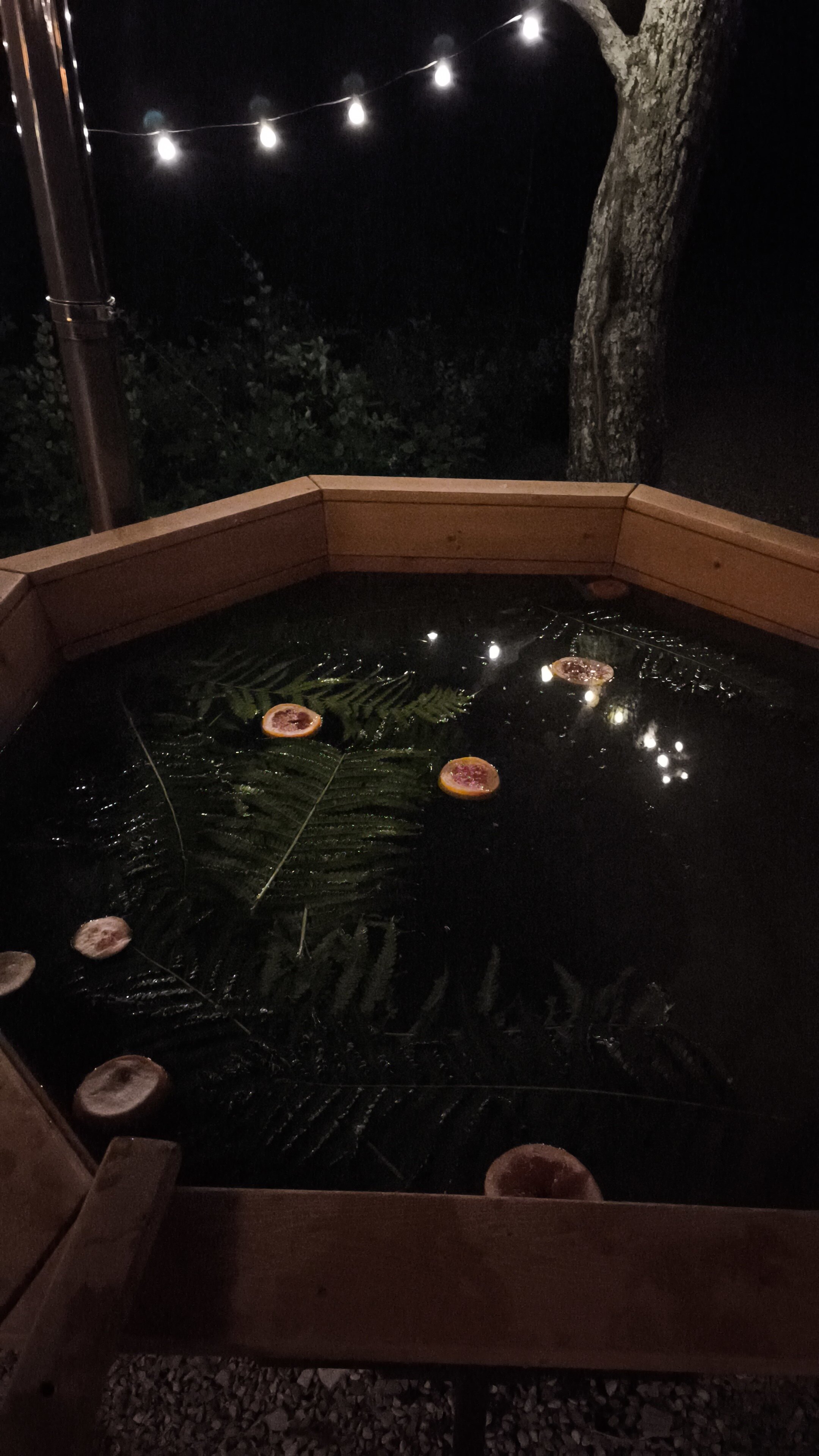 Фото Деревня Романовых