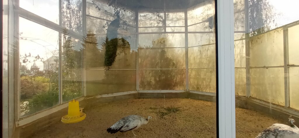 Landmark, attraction Павлины, Yelets, photo