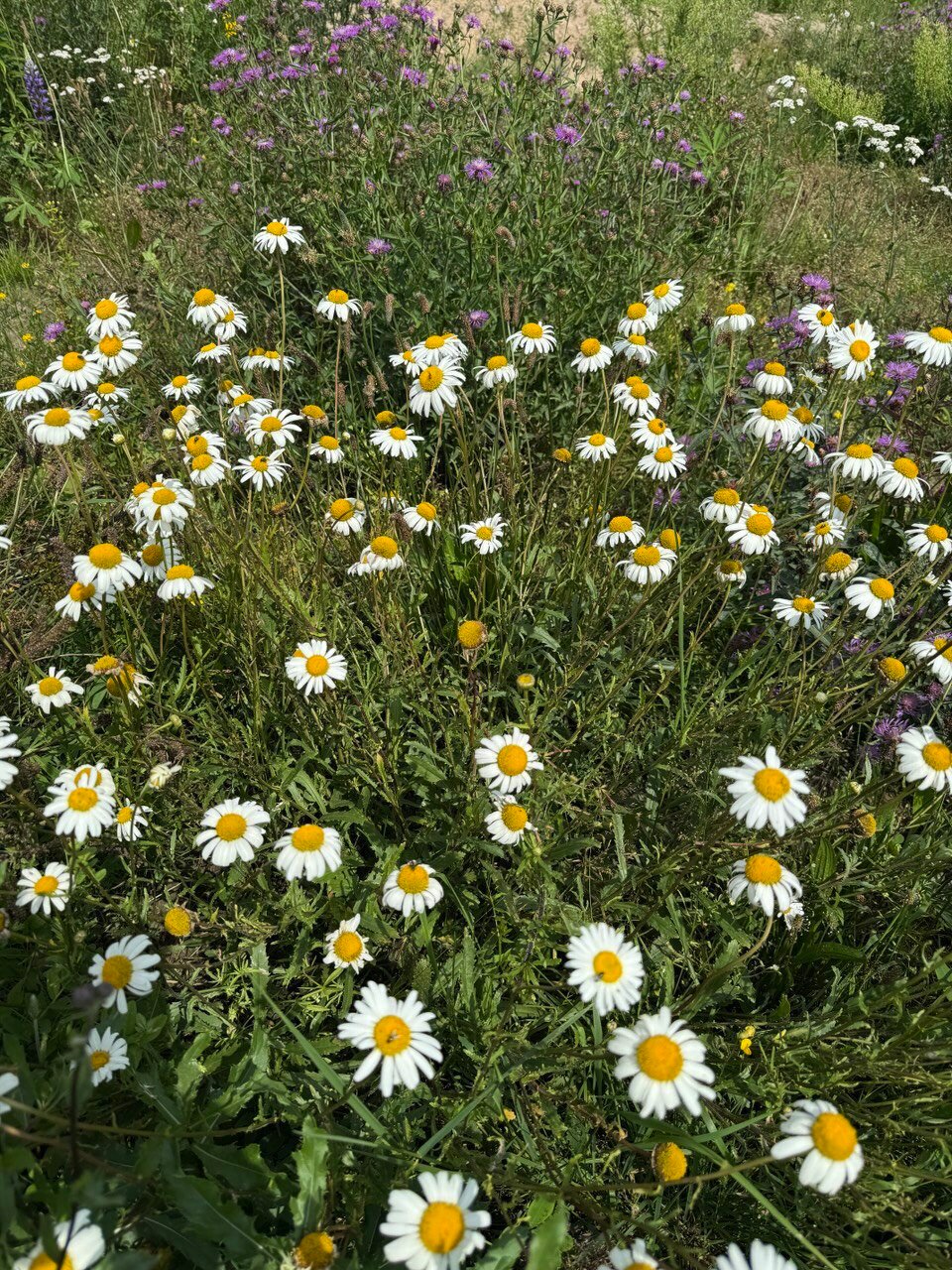 Фото Точка 177