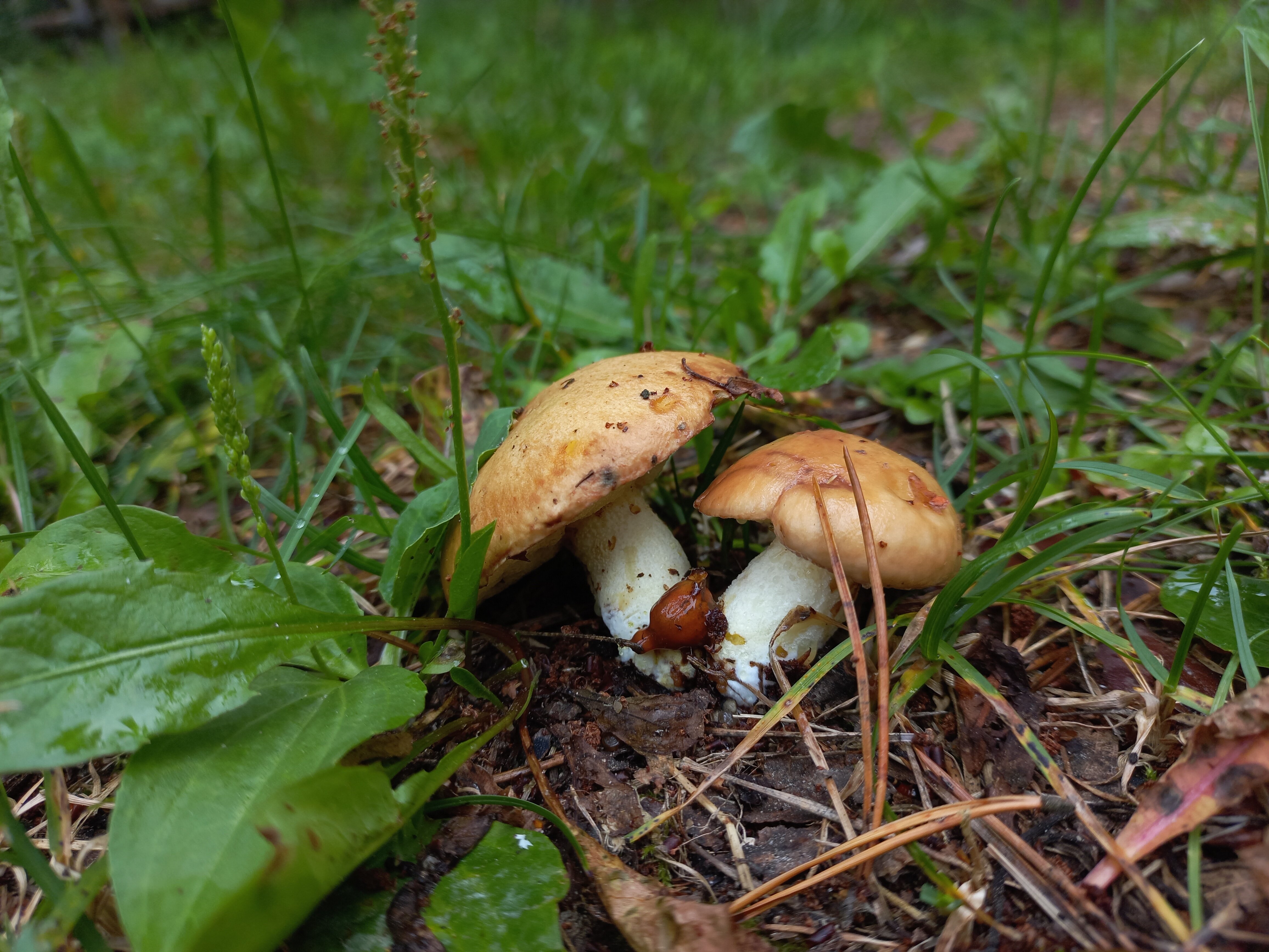 Фото Эко Парк