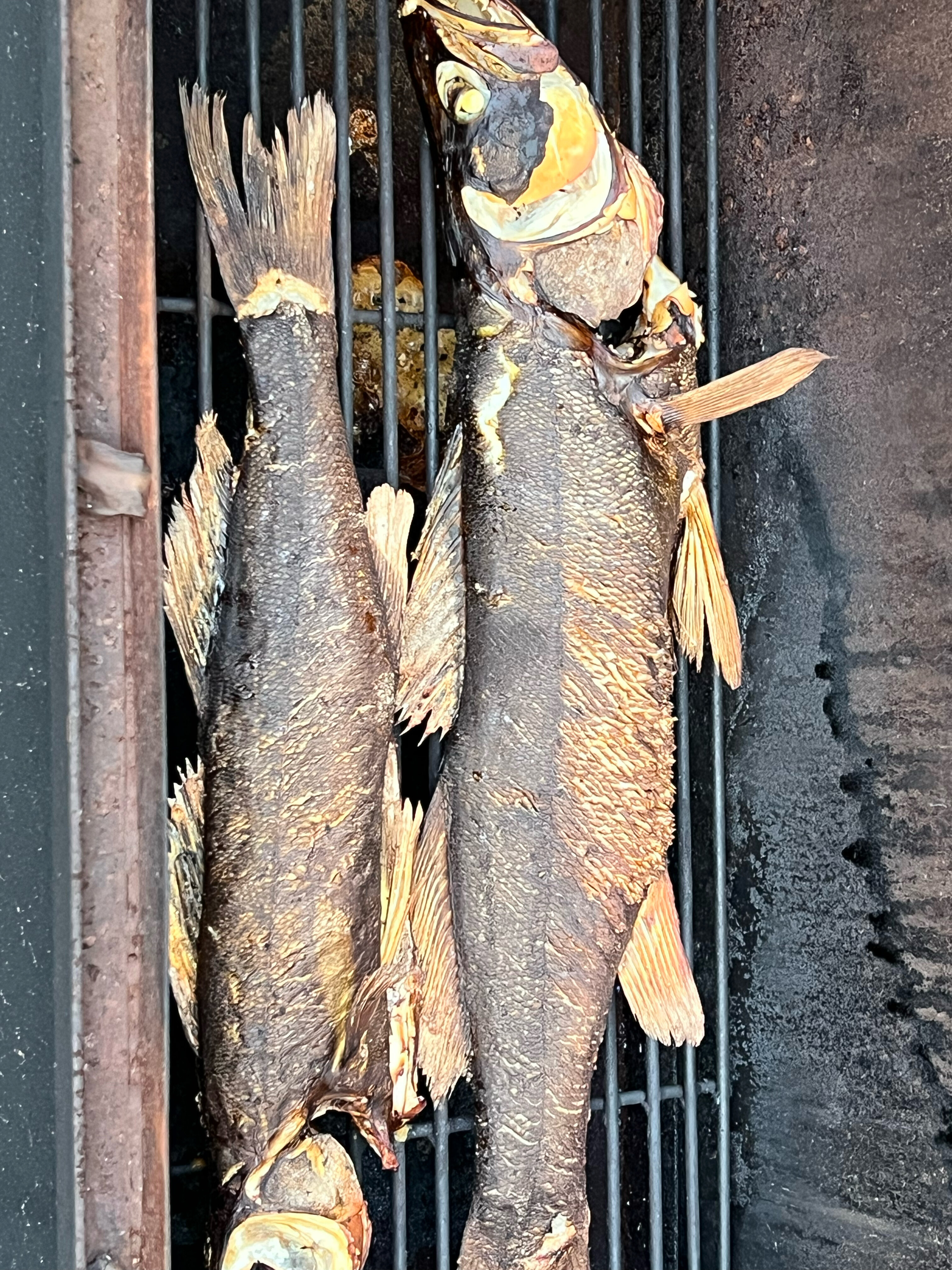 Фото Сандал