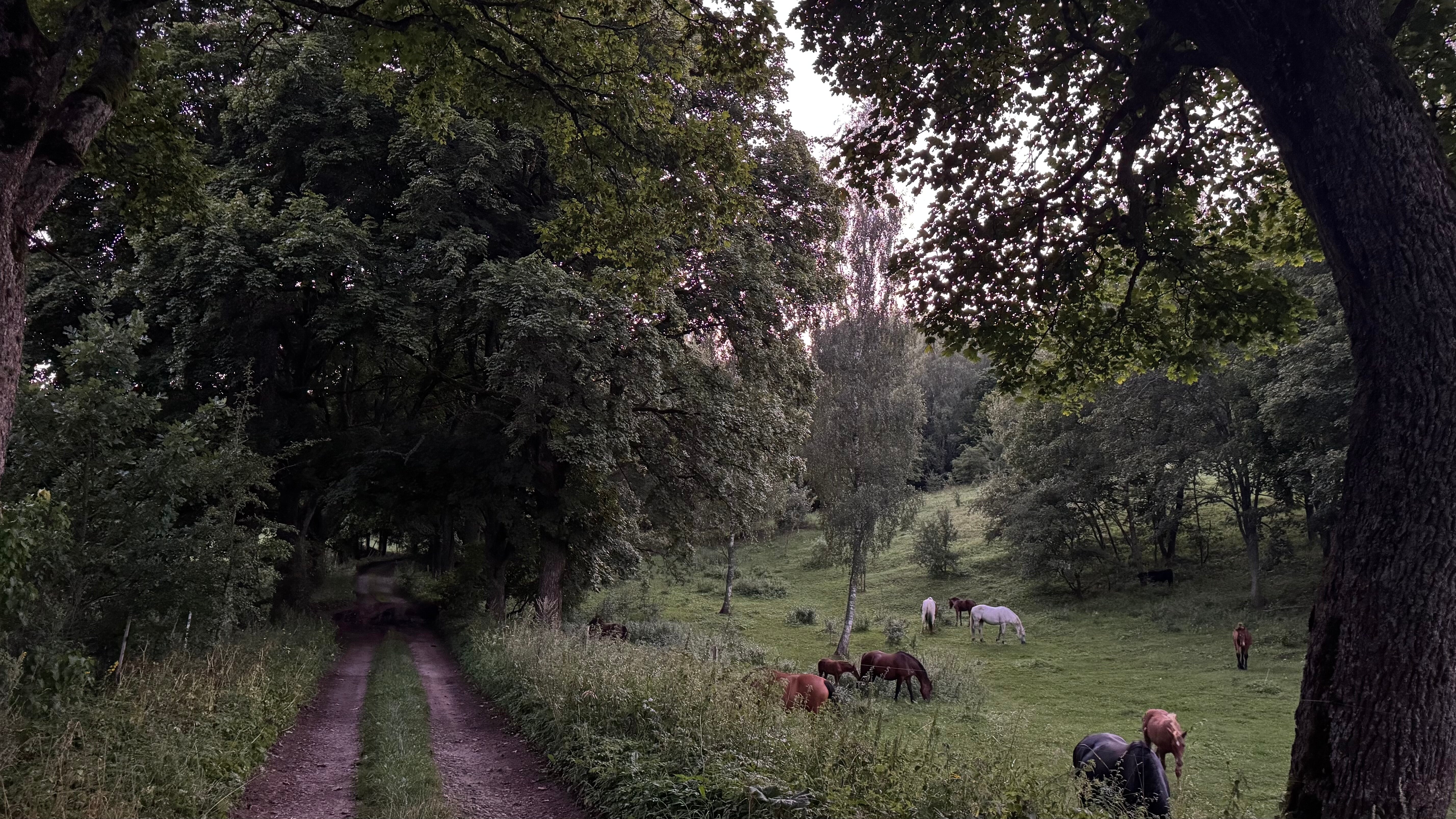 Фото Точка 177