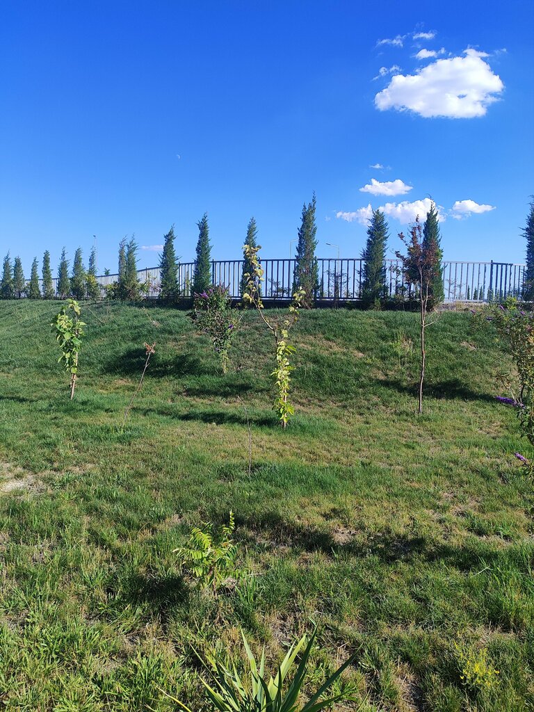 Park Youth Park, Turkestan, photo