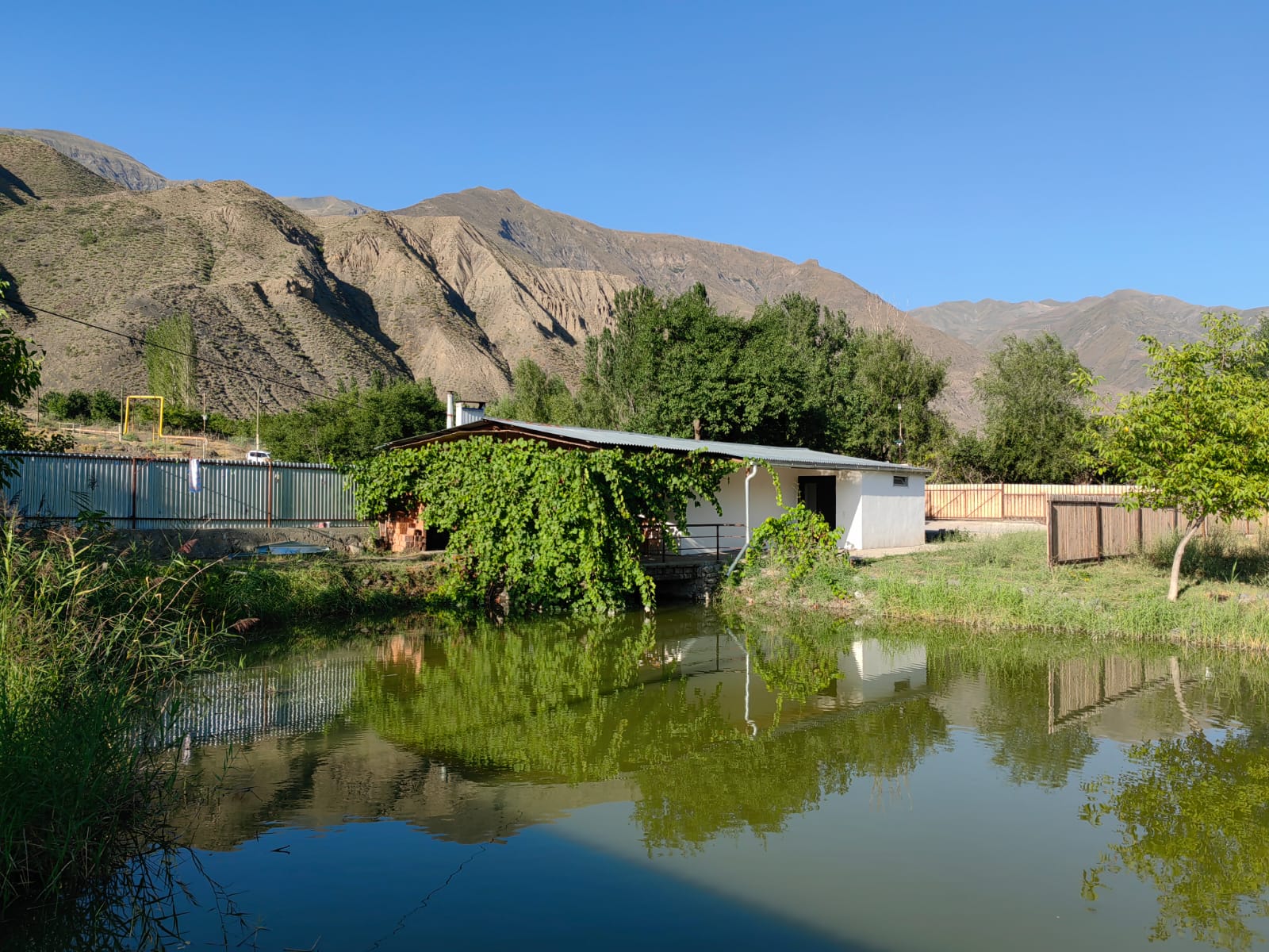 Фото Семейные домики