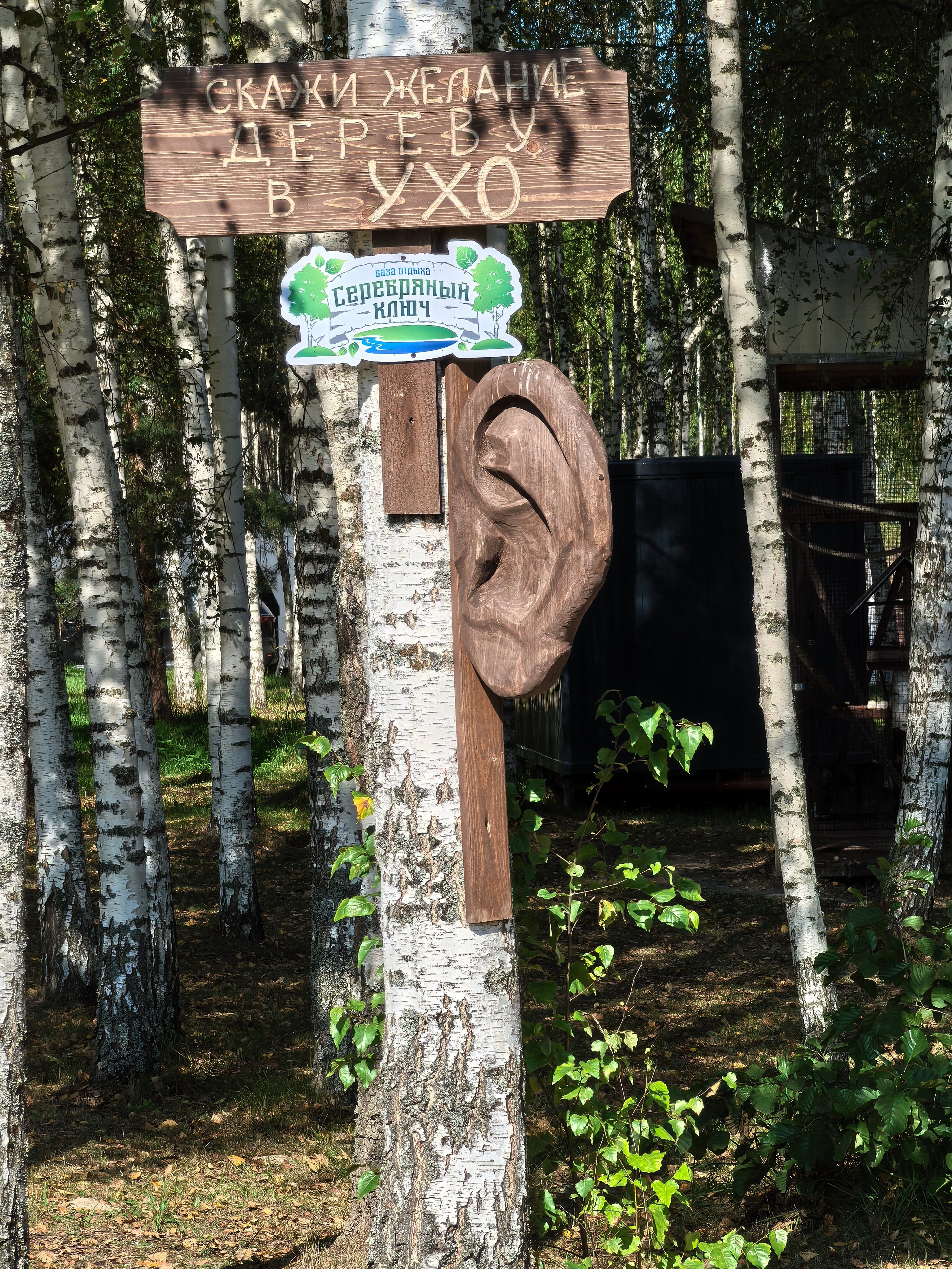 Фото Серебряный ключ