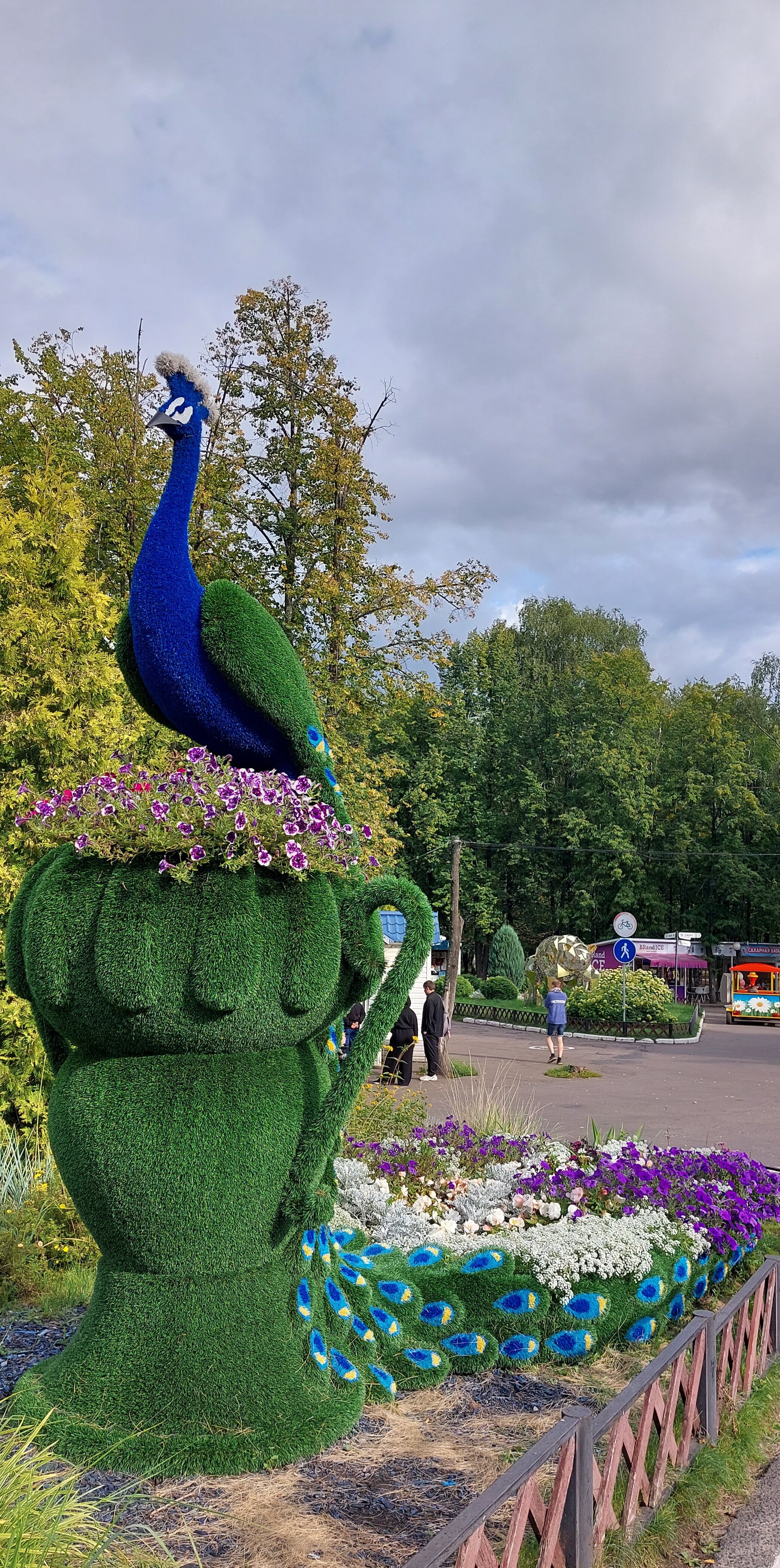 Фото Которосль