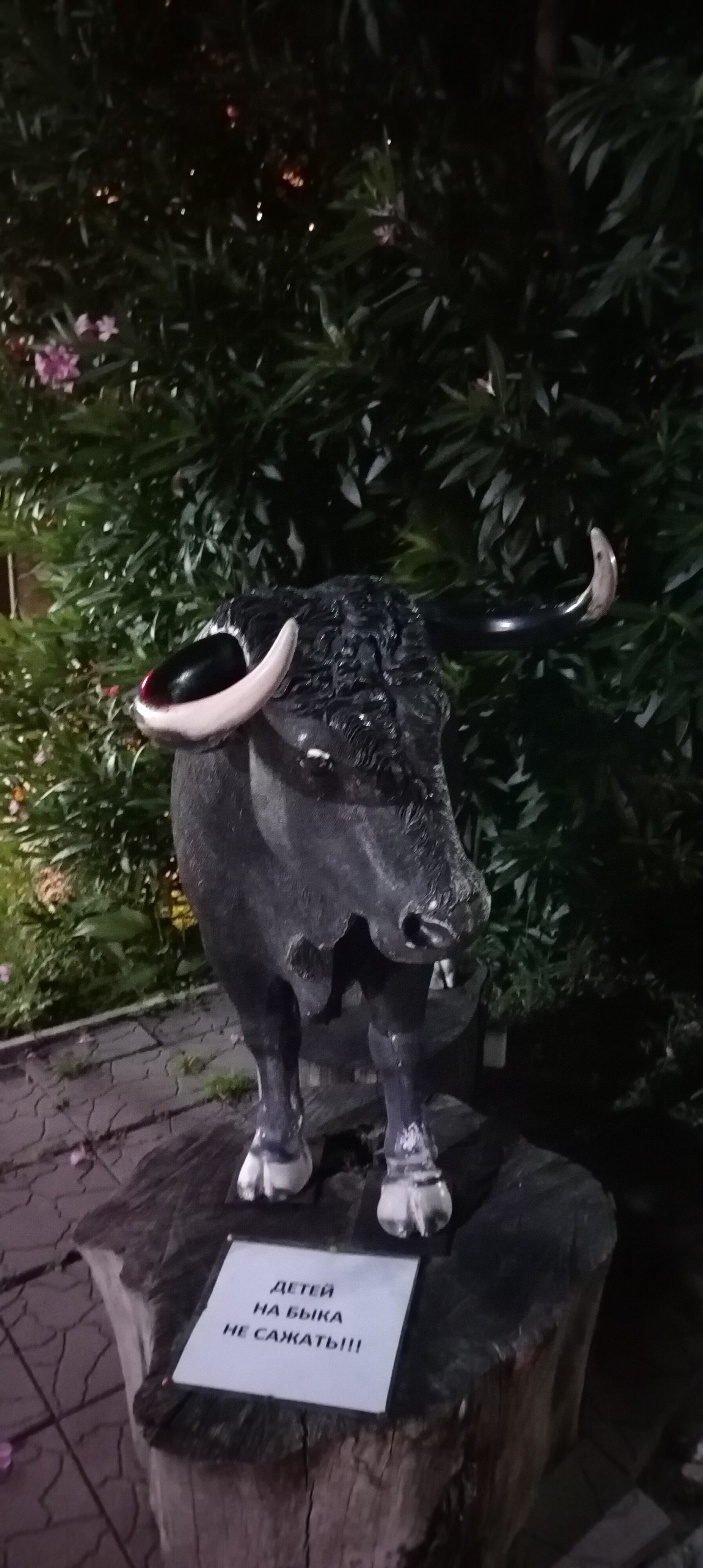 Фото Континент Гагра