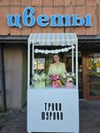 Трава Мурава (Internatsionalnaya Street, 36), flowers and bouquets delivery