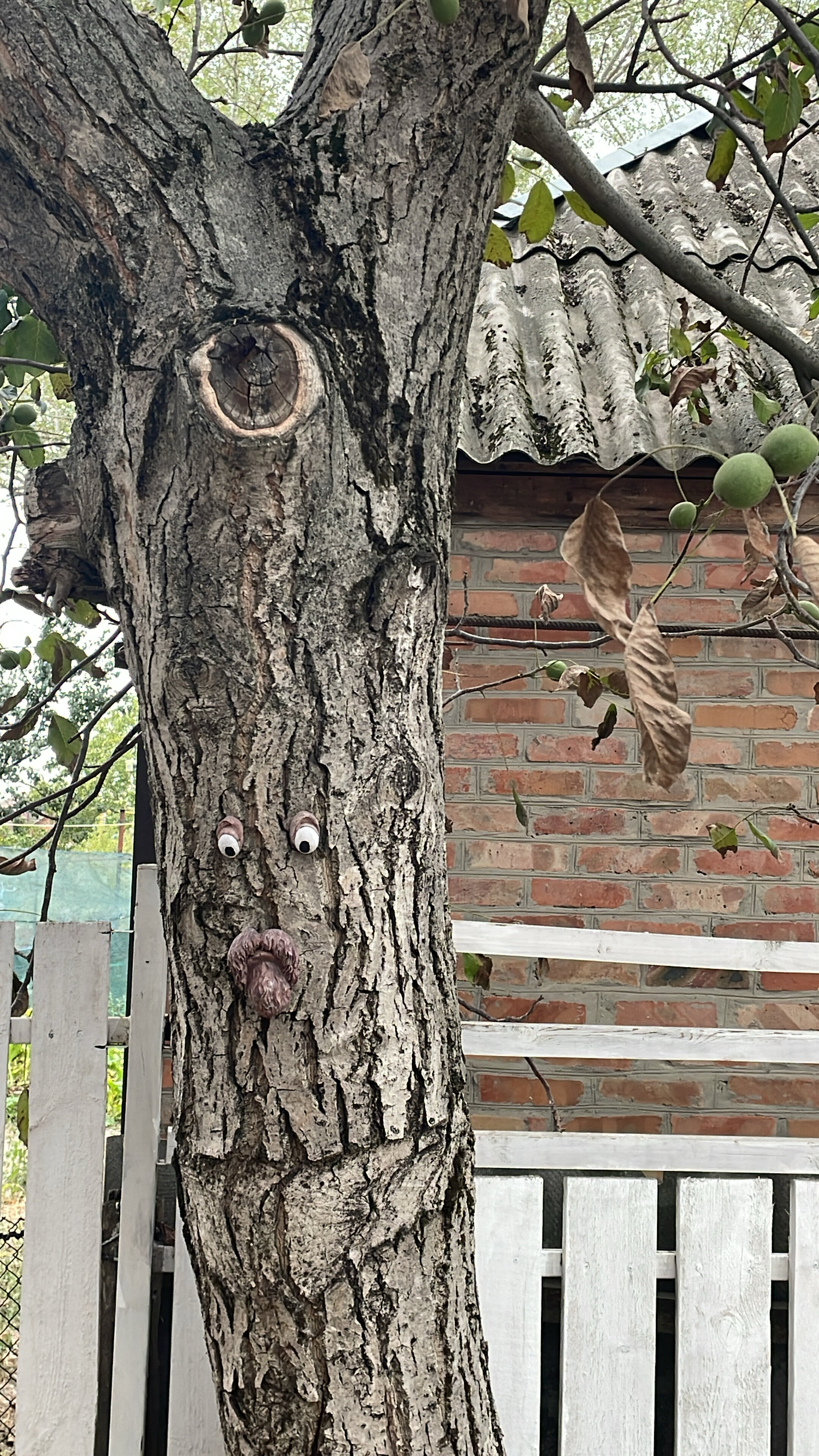 Фото Донские Сезоны