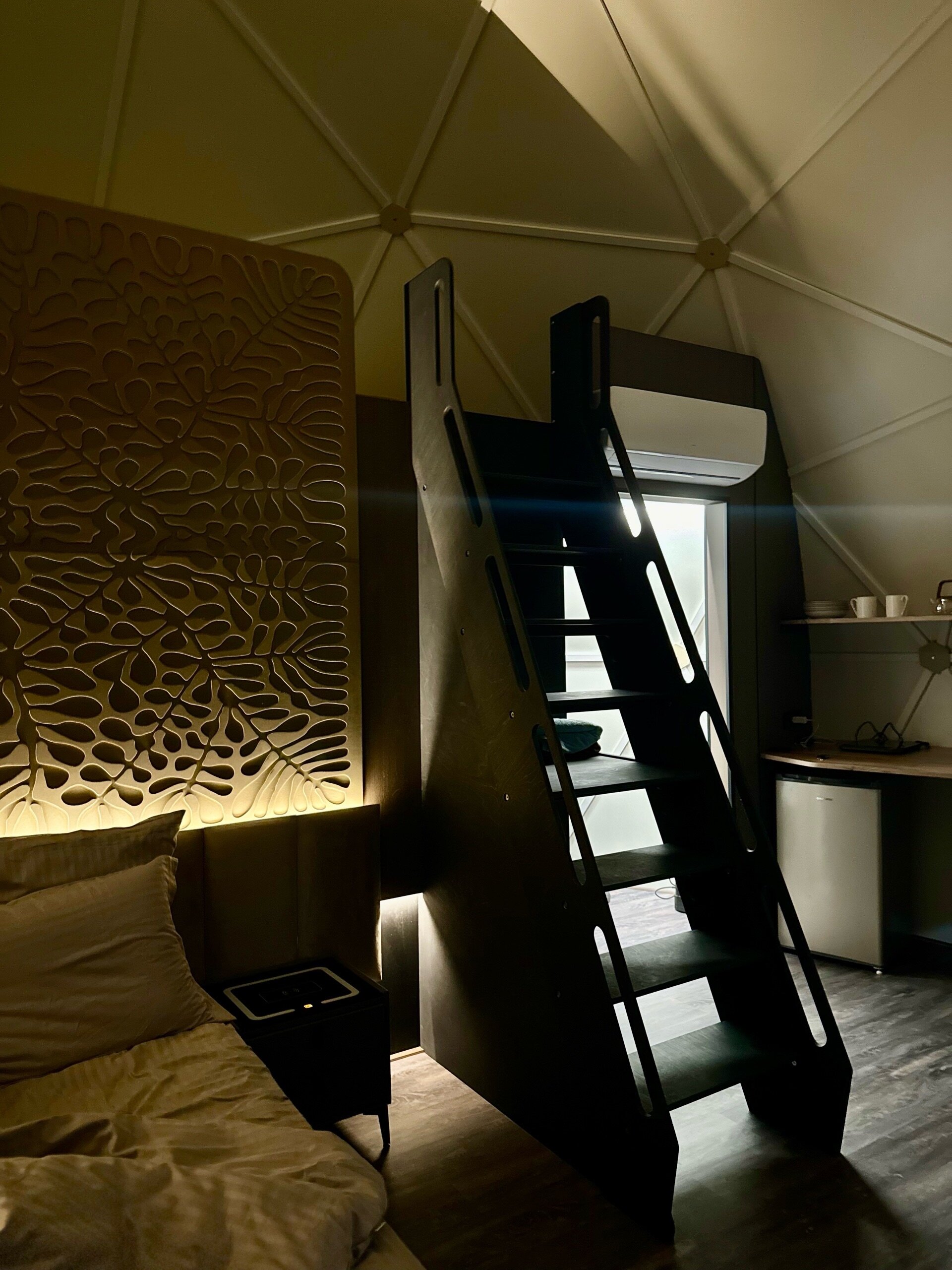 Фото Фоксилэнд