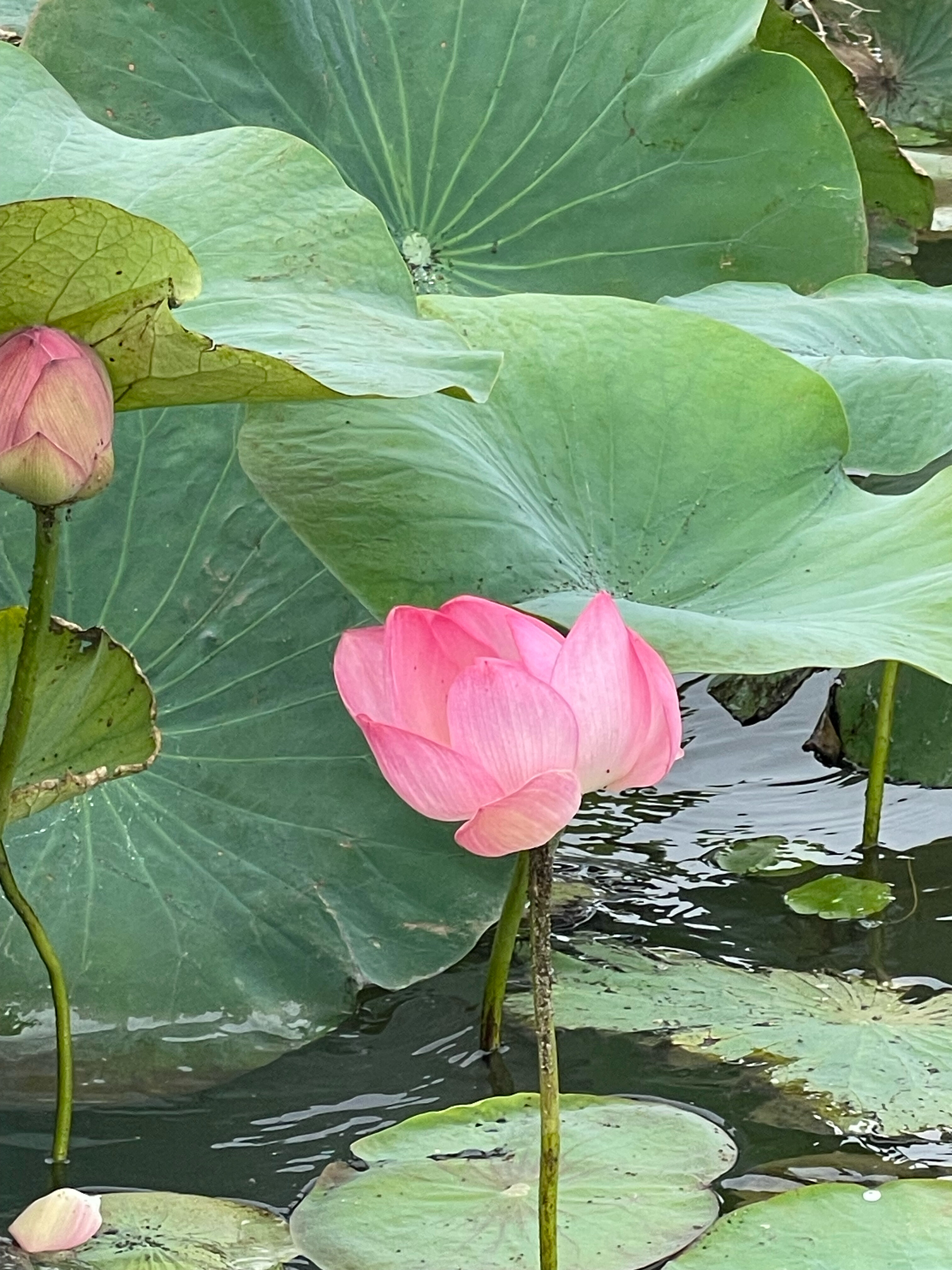 Фото Атмосфера