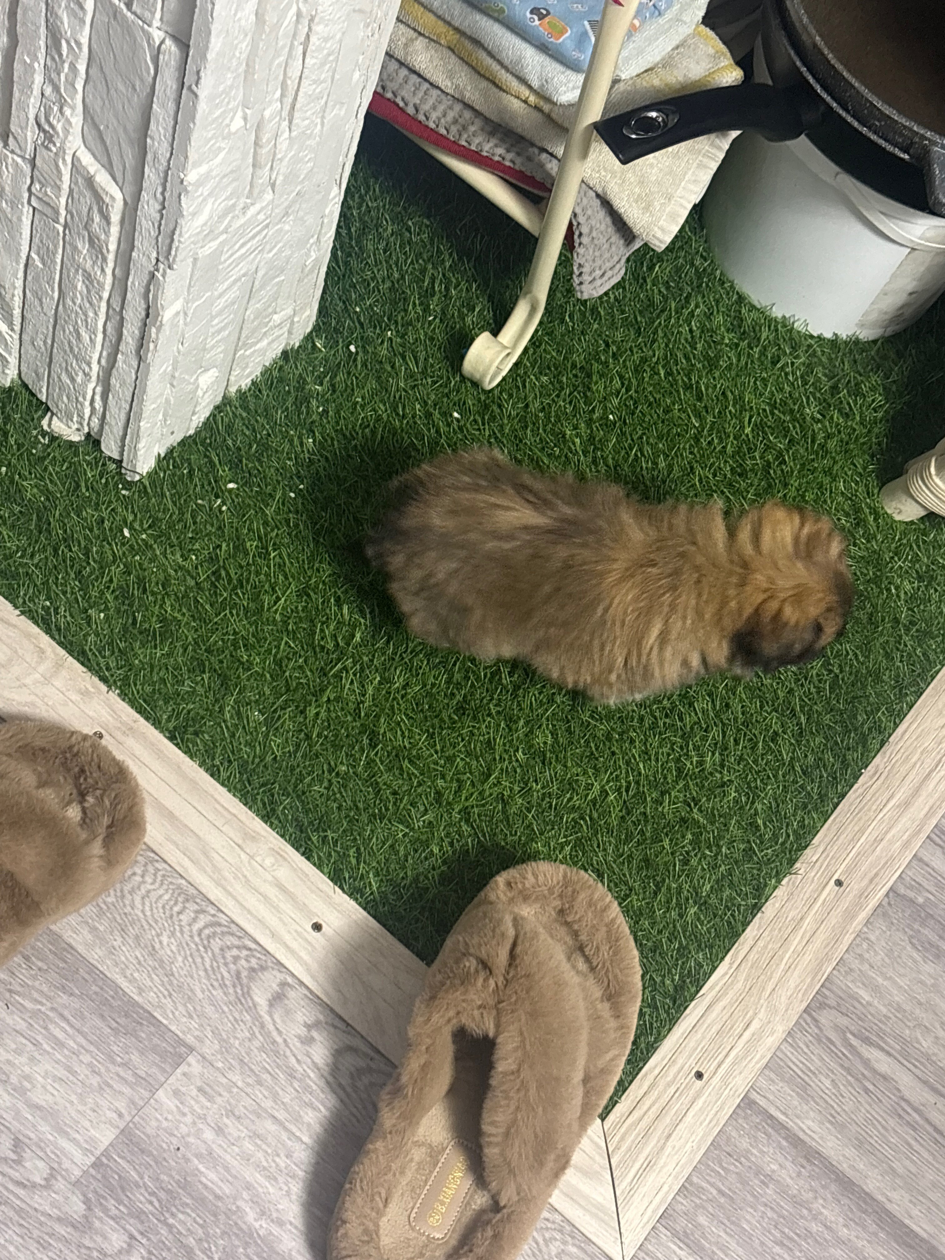 Фото Женева