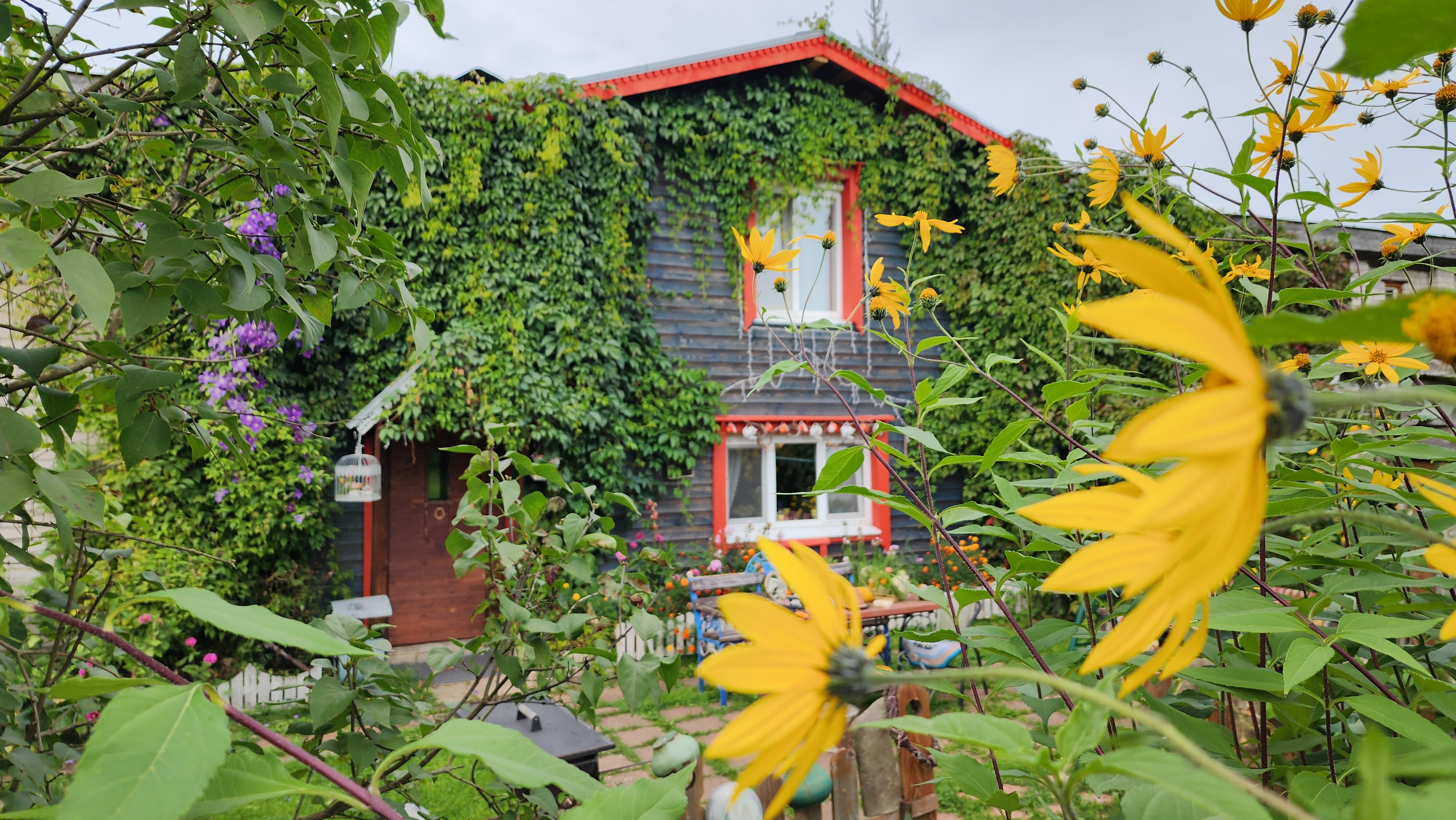 Фото Лосиный тупичок