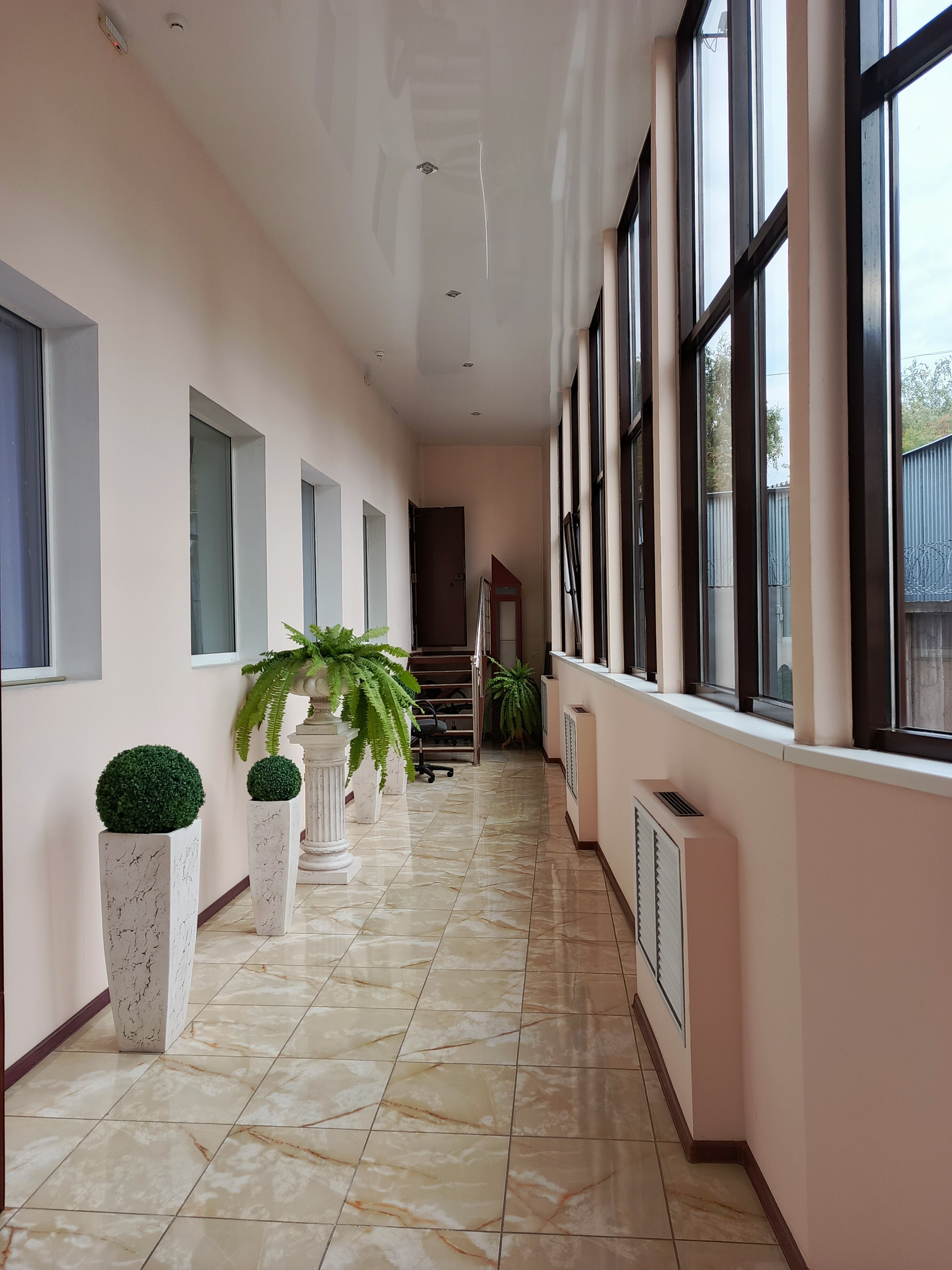 Фото У двух львов