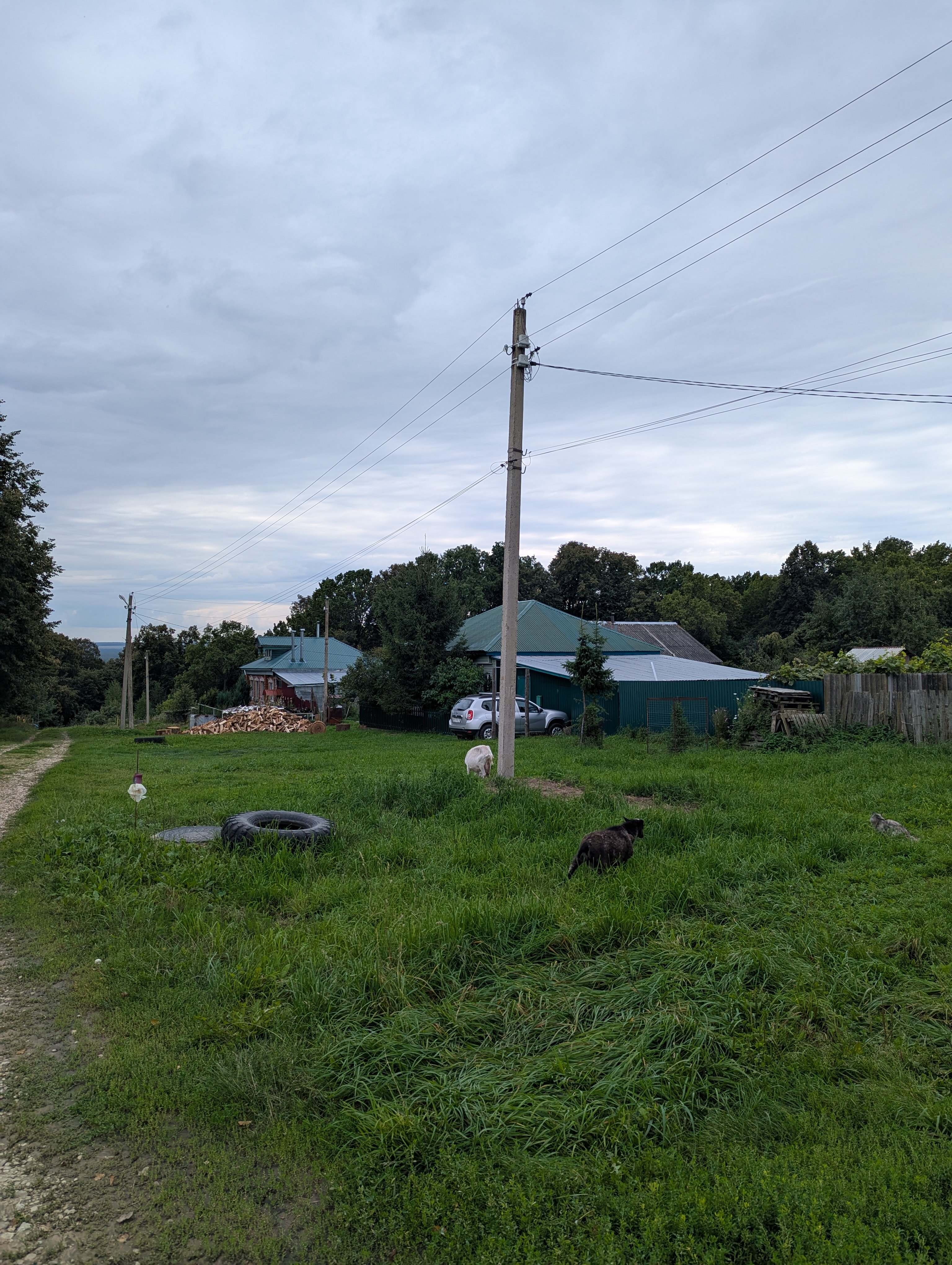 Фото Шишкин мыс