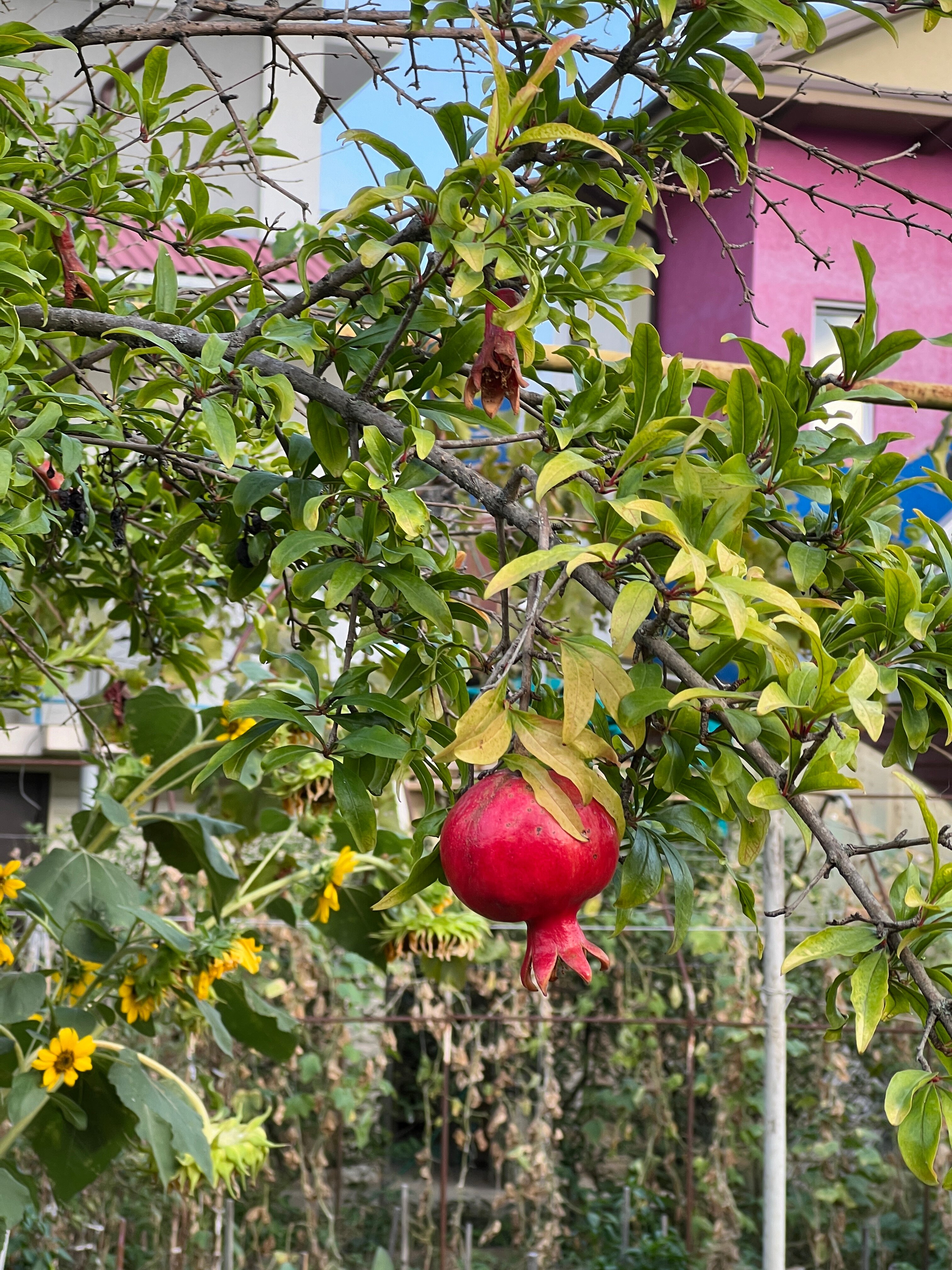 Фото На Тростниковой