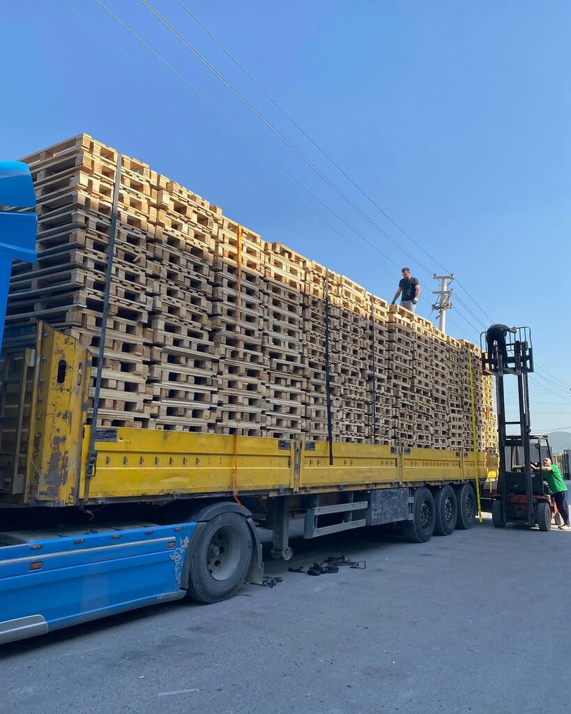 Lumber Lime Pallet, Izmir, photo