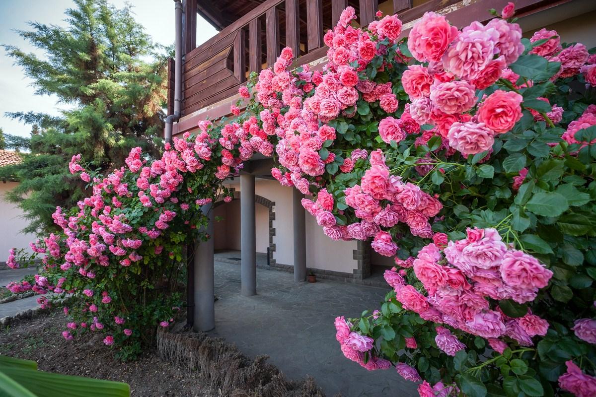 Фото Омега-клуб