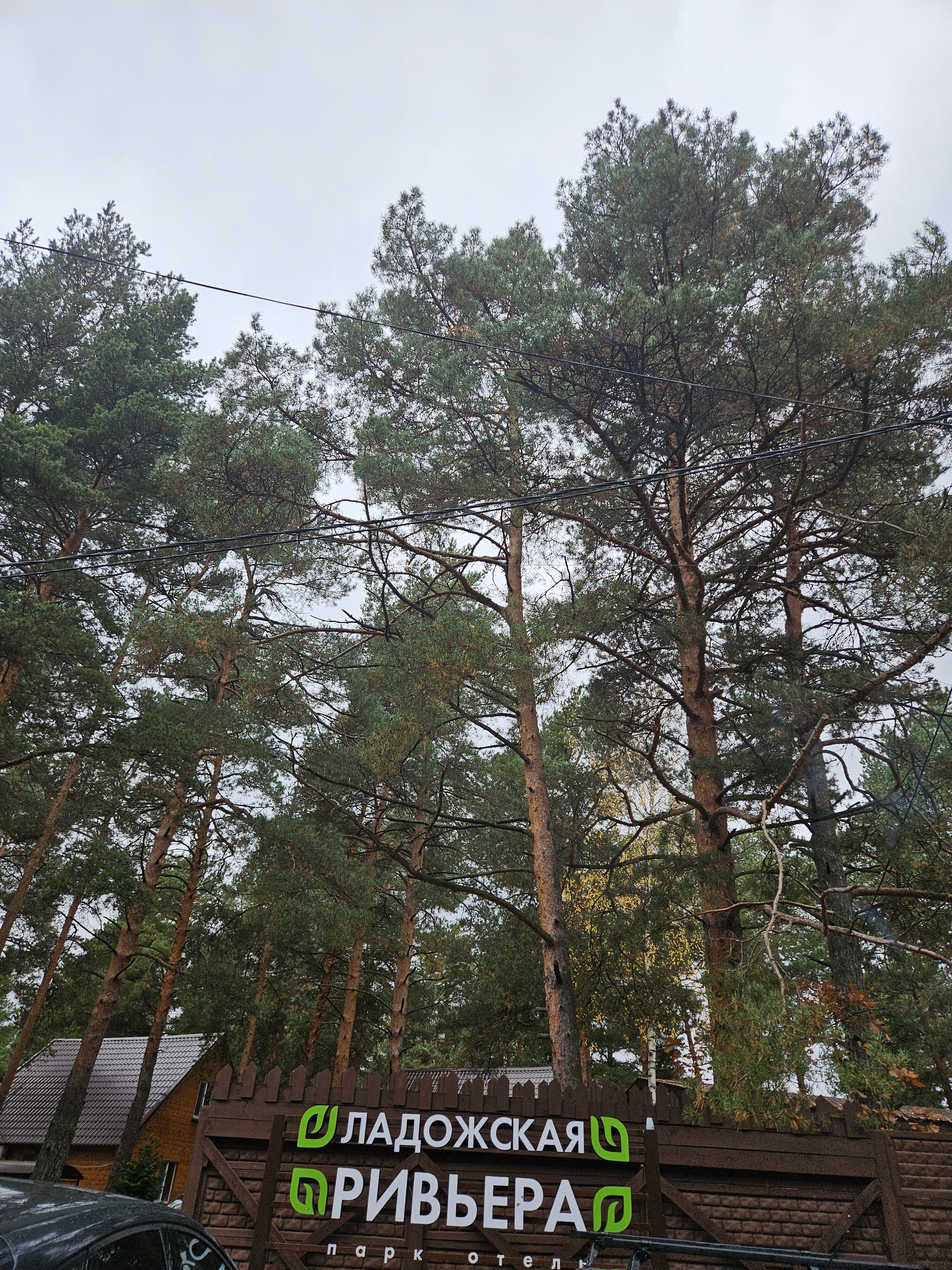 Фото Ладожская ривьера