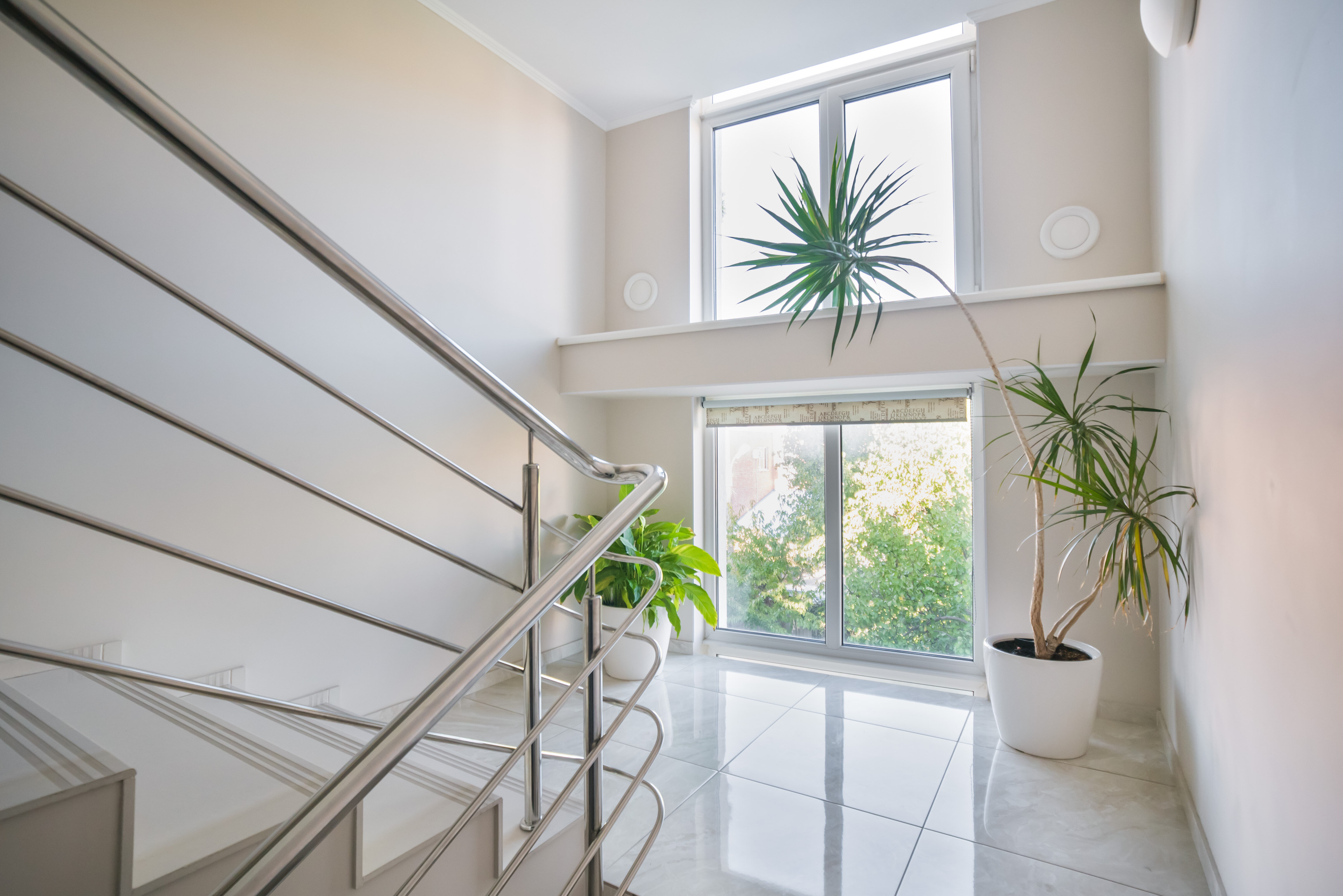 Фото Абрикос Плюс