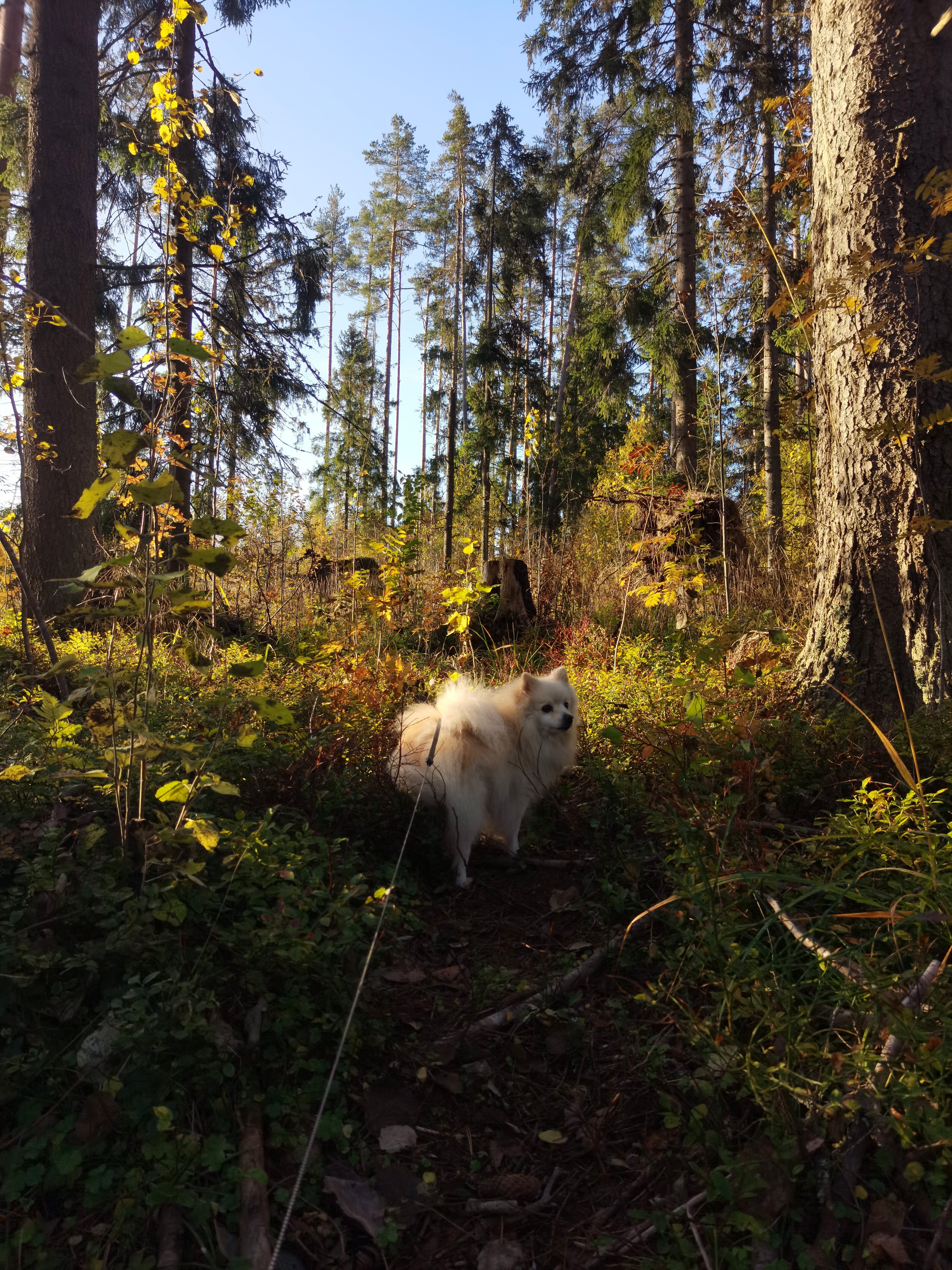 Фото Я на Базе