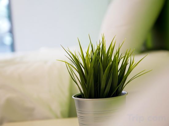 Фото Varinda Hostel