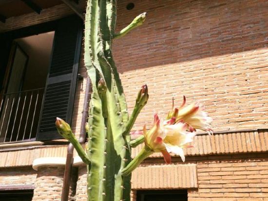 Фото Albergo Il Picchio