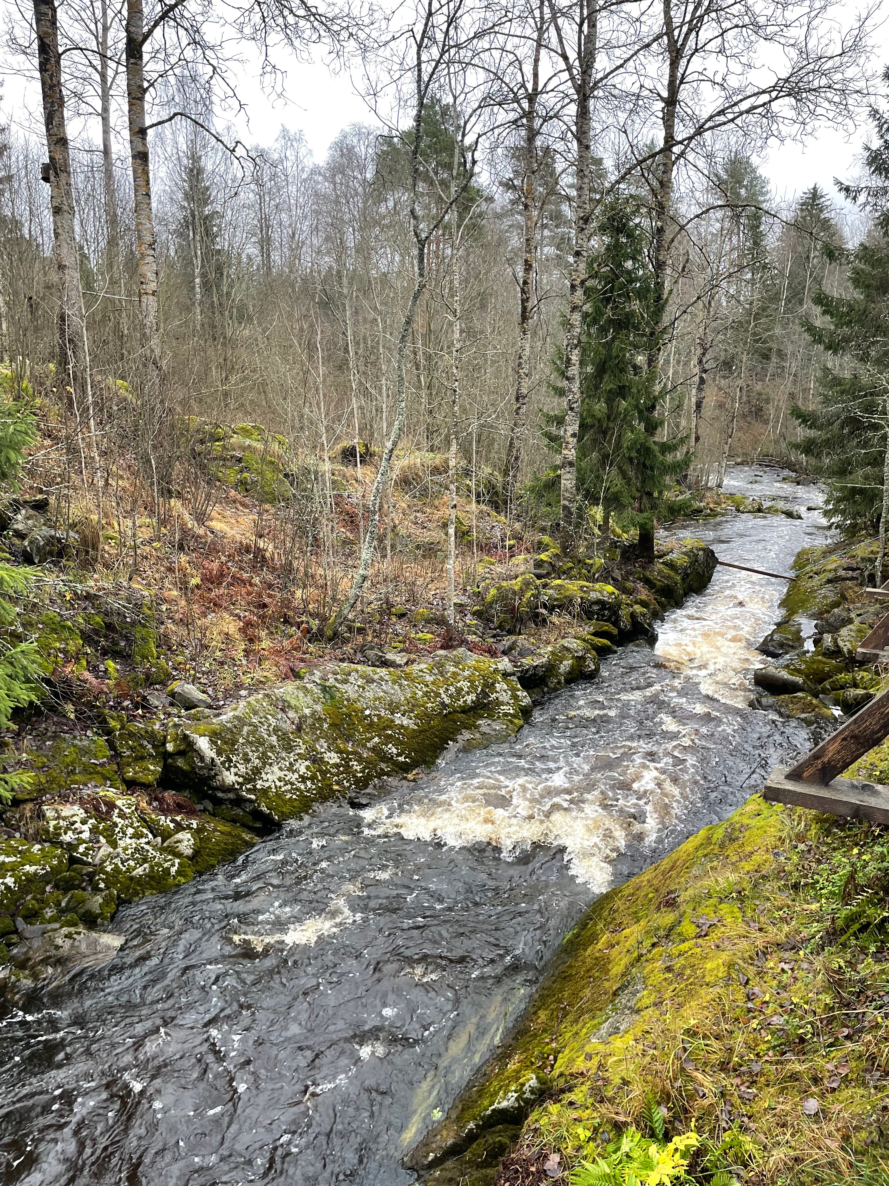 Фото Усадьба Калевалы