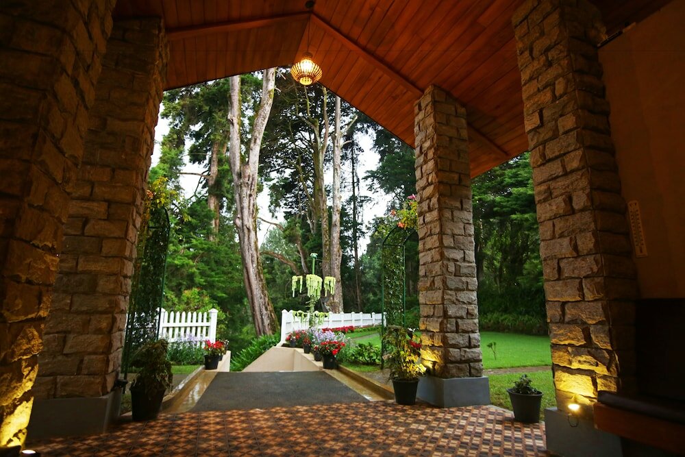 Фото The Firs